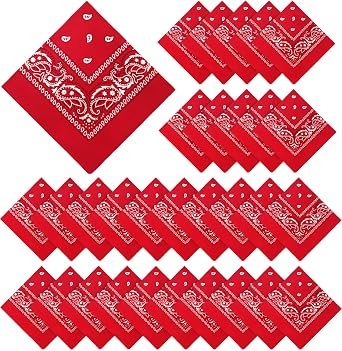YSense 30 Pcs Paisley Bandana, Bulk Bandanas for Women Men