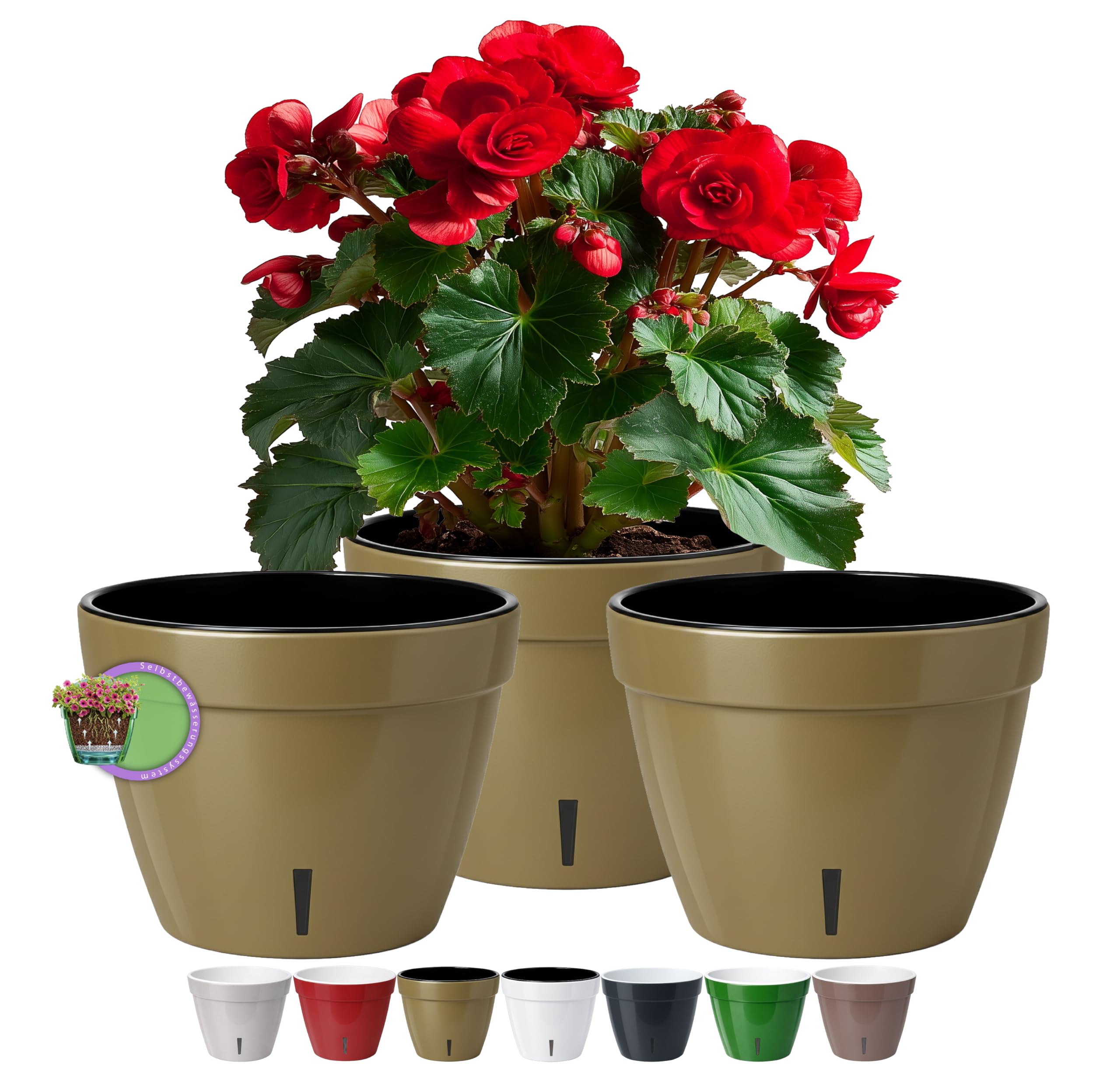 Santino ASTI Maceta de Riego Automático con Indicador de Nivel de Agua, Redonda, para Plantas, Flores, Hierbas (Ø 18 cm, Altura 14 cm, 2,5 L, Rojo/Blanco) — view 24