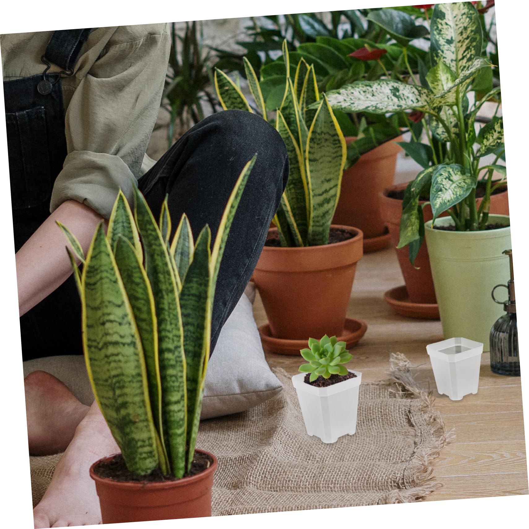 Mipcase 80pièces Pots De Semis Plastique pour Plantes Succulentes Cuvettes De Culture Durables avec Drainage Idéales pour Jardinage Intérieur Et Extérieur