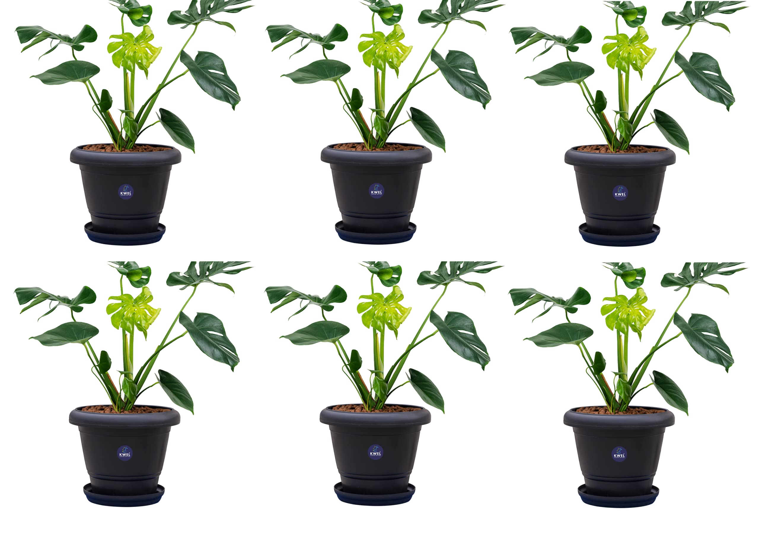 KWEL Flower Pots for Plants and Flowers Including Tray Size 8 Inch - Black (Pack of 6) (B09C2CS76Y) Amazon Price History, Amazon Price Tracker