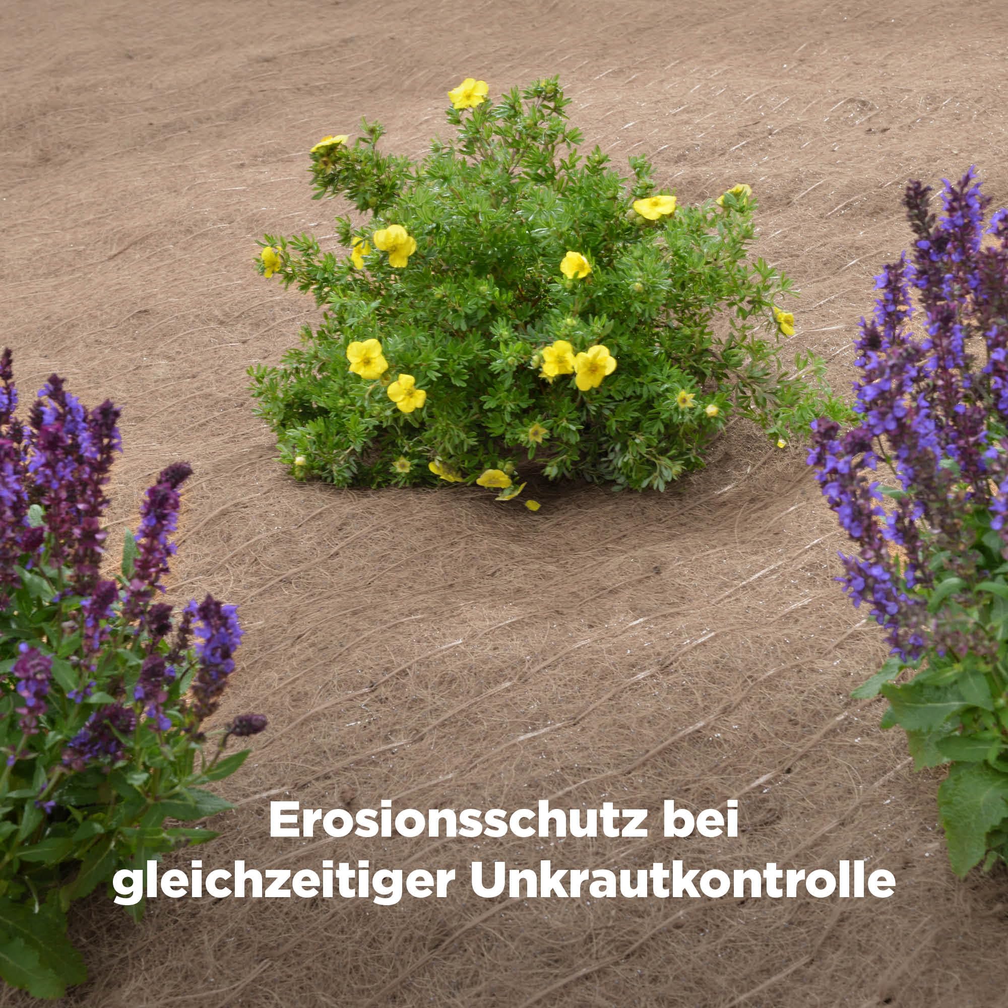 blizz-z Mulchmatte mit Kokos und Unkrautschutzfolie 1,20 m x 30 m (1 Rolle) | Böschungsmatte, Erosionsschutz, Winterschutz für Grünflächen, 2-lagig, Stärke 530 g/m² - Made in Germany