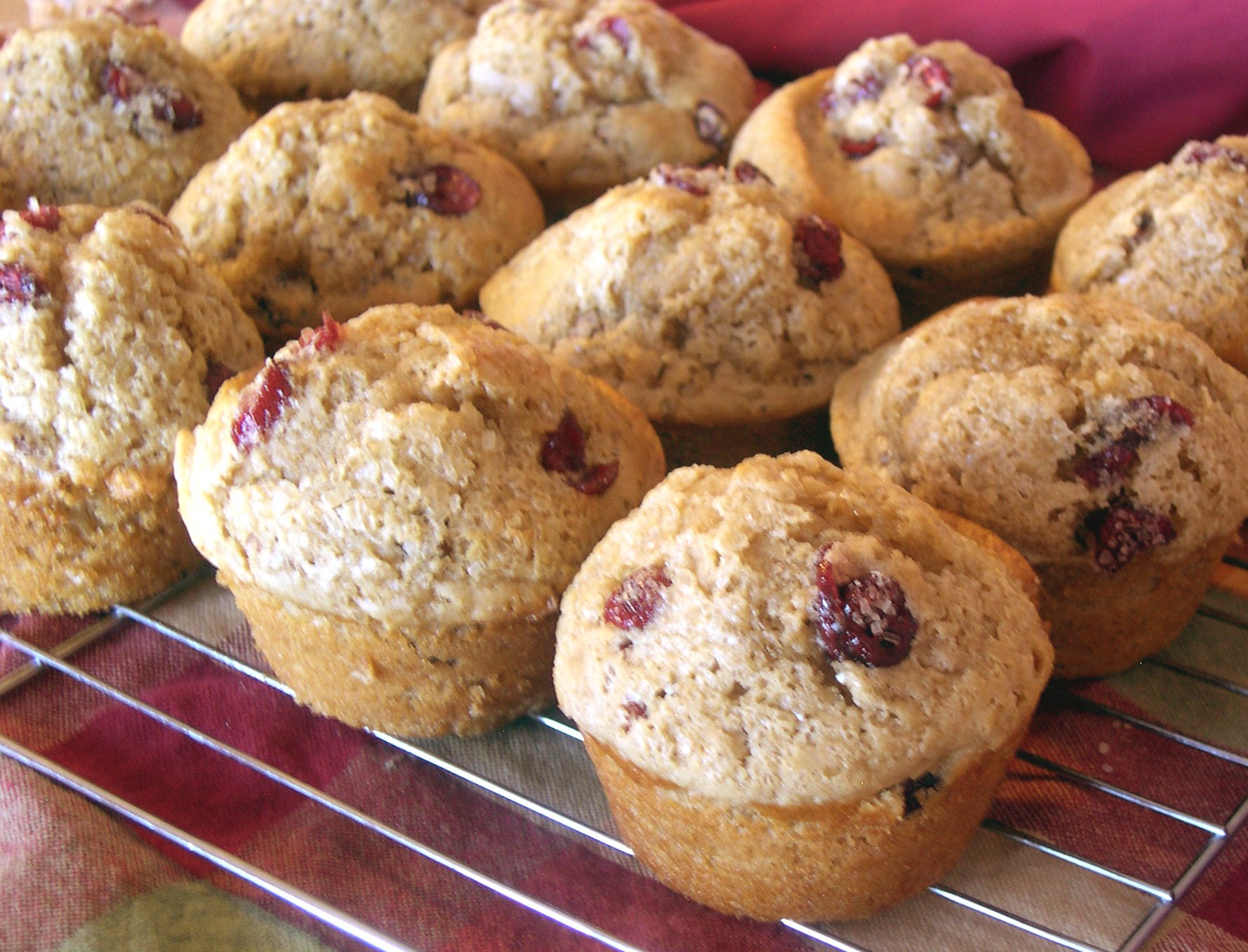 The Prepared Pantry Cranberry Vanilla Just-Add-Water Muffin Mix (26 oz.)