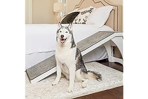 PetSafe CozyUp Dog Ramp for High Beds, Large Dog Ramp to Bed