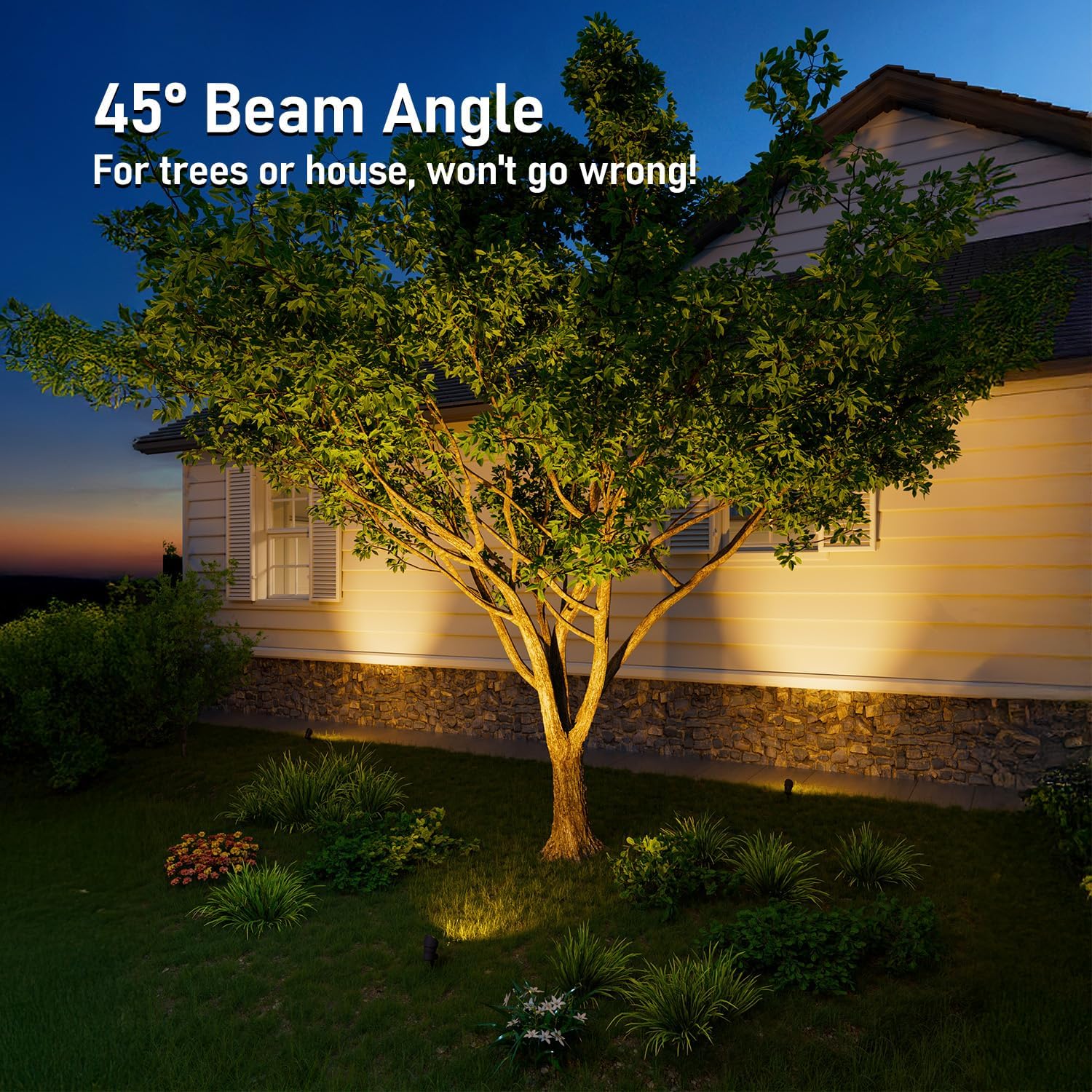 LEONLITE landscape spotlights illuminating a tree and the side of a house at night, demonstrating the 45-degree beam angle.