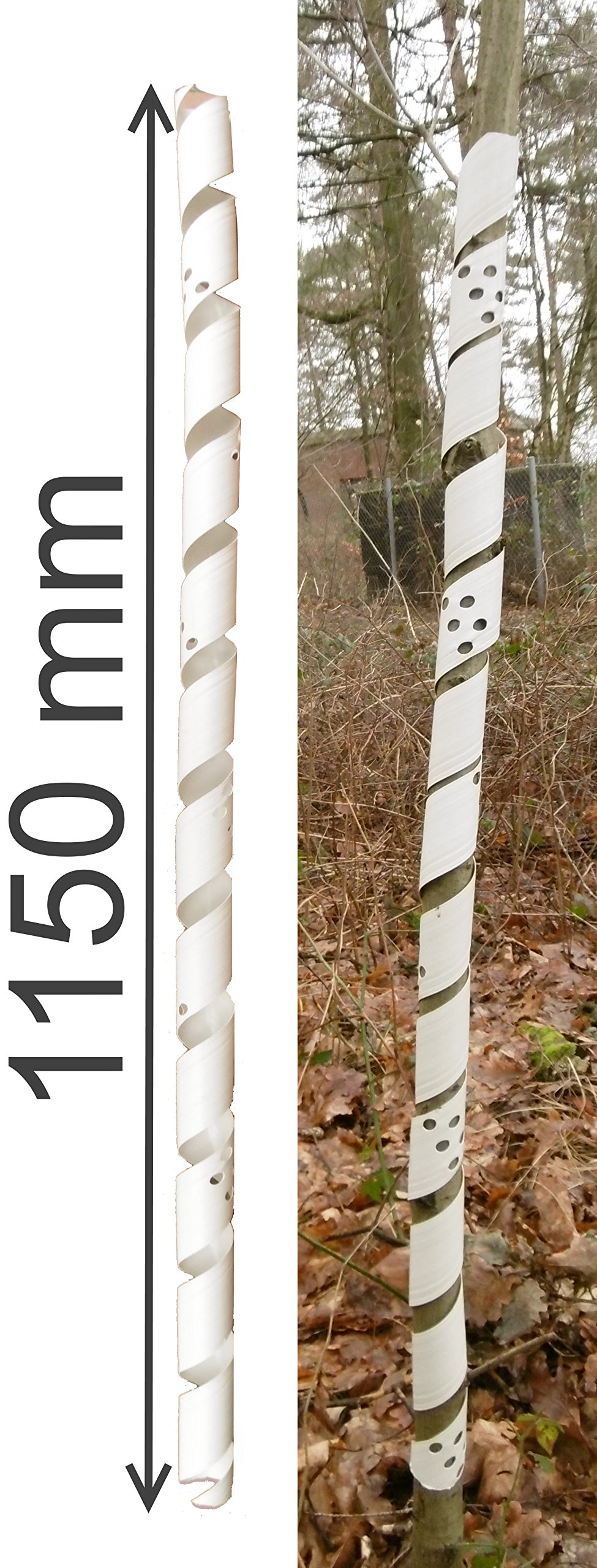 EXCOLO Baumschutzspirale 50er Set, 115 cm lang, weiß, PET-Folie, witterungsbeständig, Flexibler Baumstammschutz, Verbissschutz, Rindenschutz, Fraßschutz, langlebig, Made in Germany