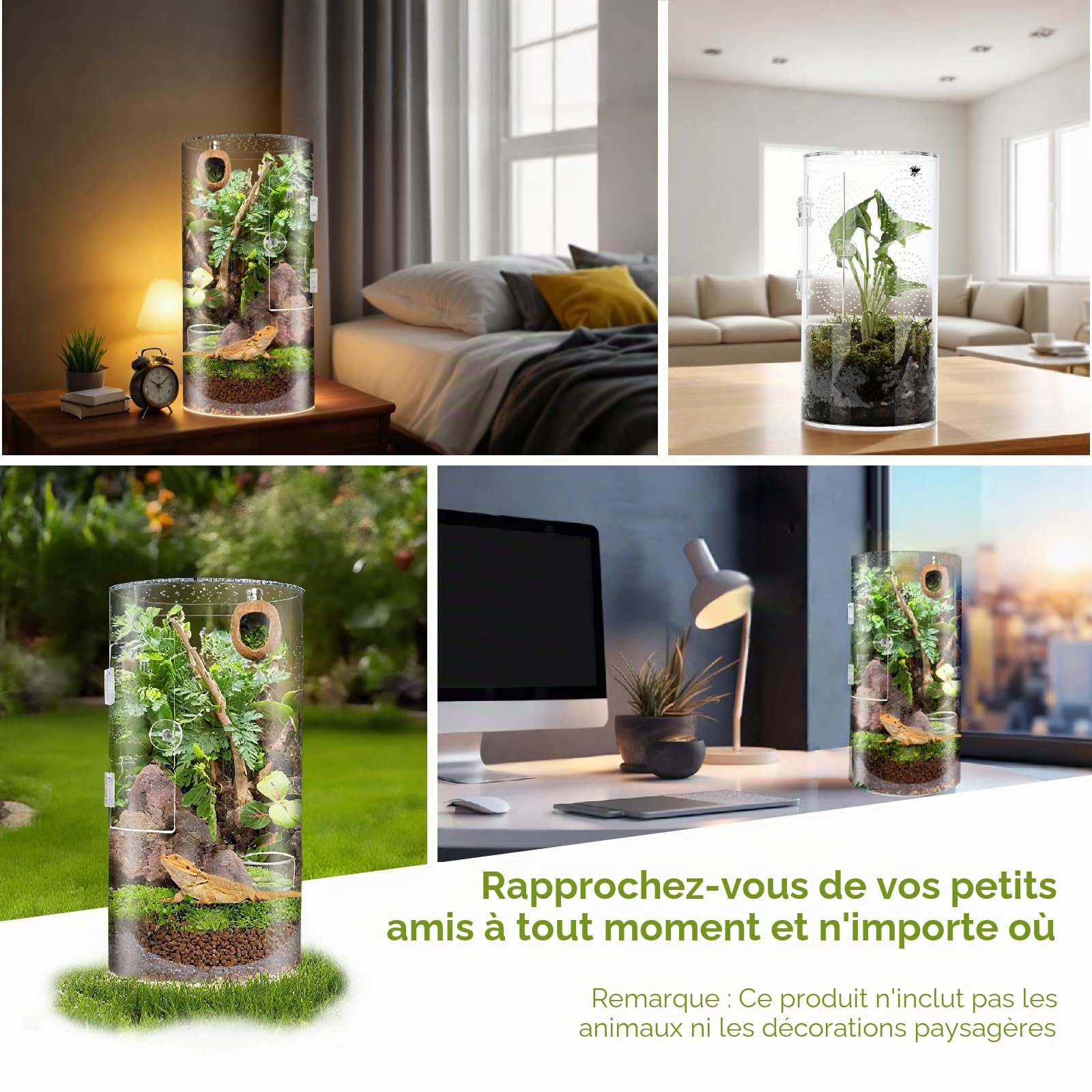 Terrarium Cylindrique, Vivarium Transparent à 360° - Terrarium Phasme en Acrylique, Boîte d'Élevage pour Reptiles, Araignée, Escargots, Mante Religieuse, Lézard, Rainette, Coléoptère