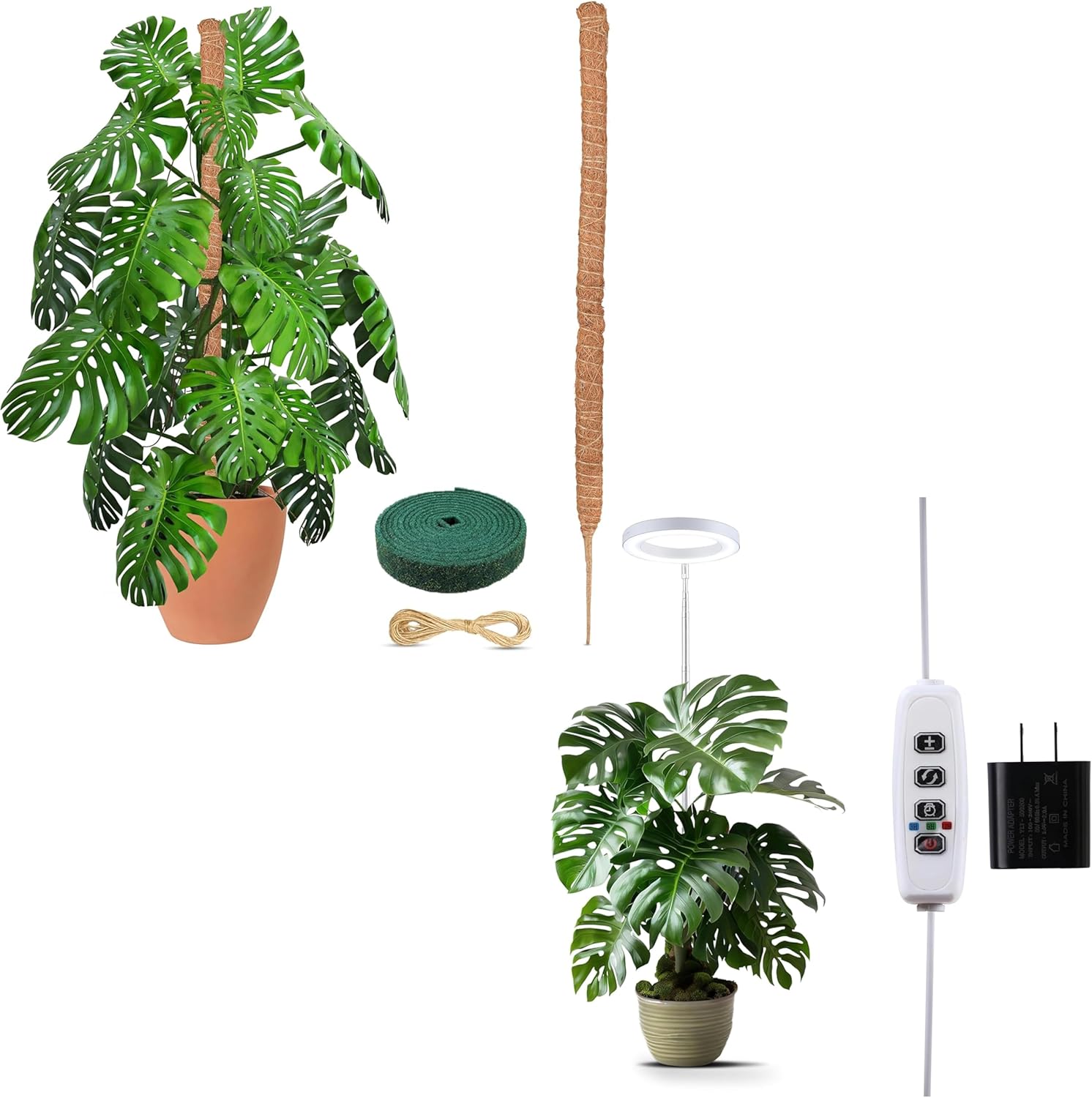 EcoNour Moss Pole for Plants – 48 inches + EcoNour 65" Halo Grow Lights for Indoor Plants
