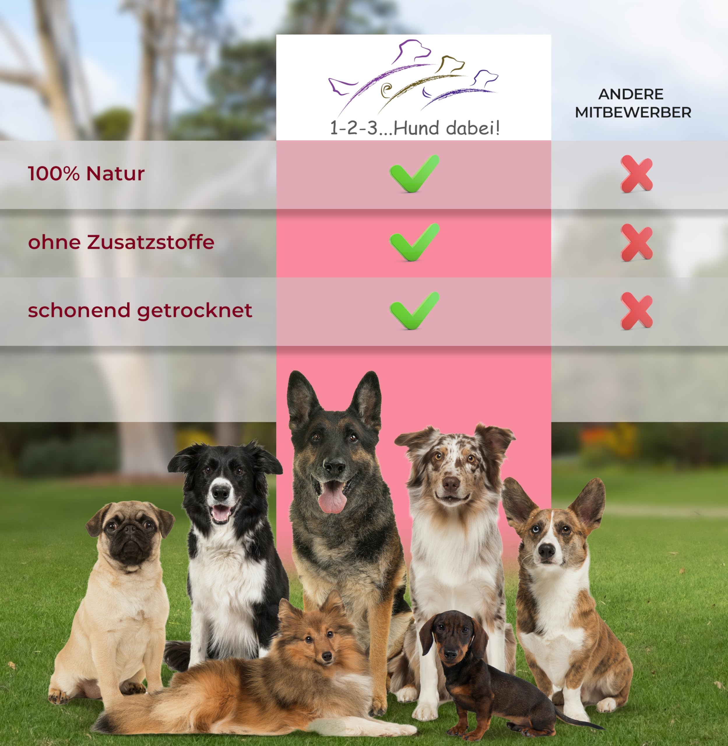 Oreilles de porc séchées naturelles pour chiens – 100 % pur plaisir de mastication, séchage à l'air libre, sans additifs – Friandise idéale pour le nettoyage des dents (100 pièces)