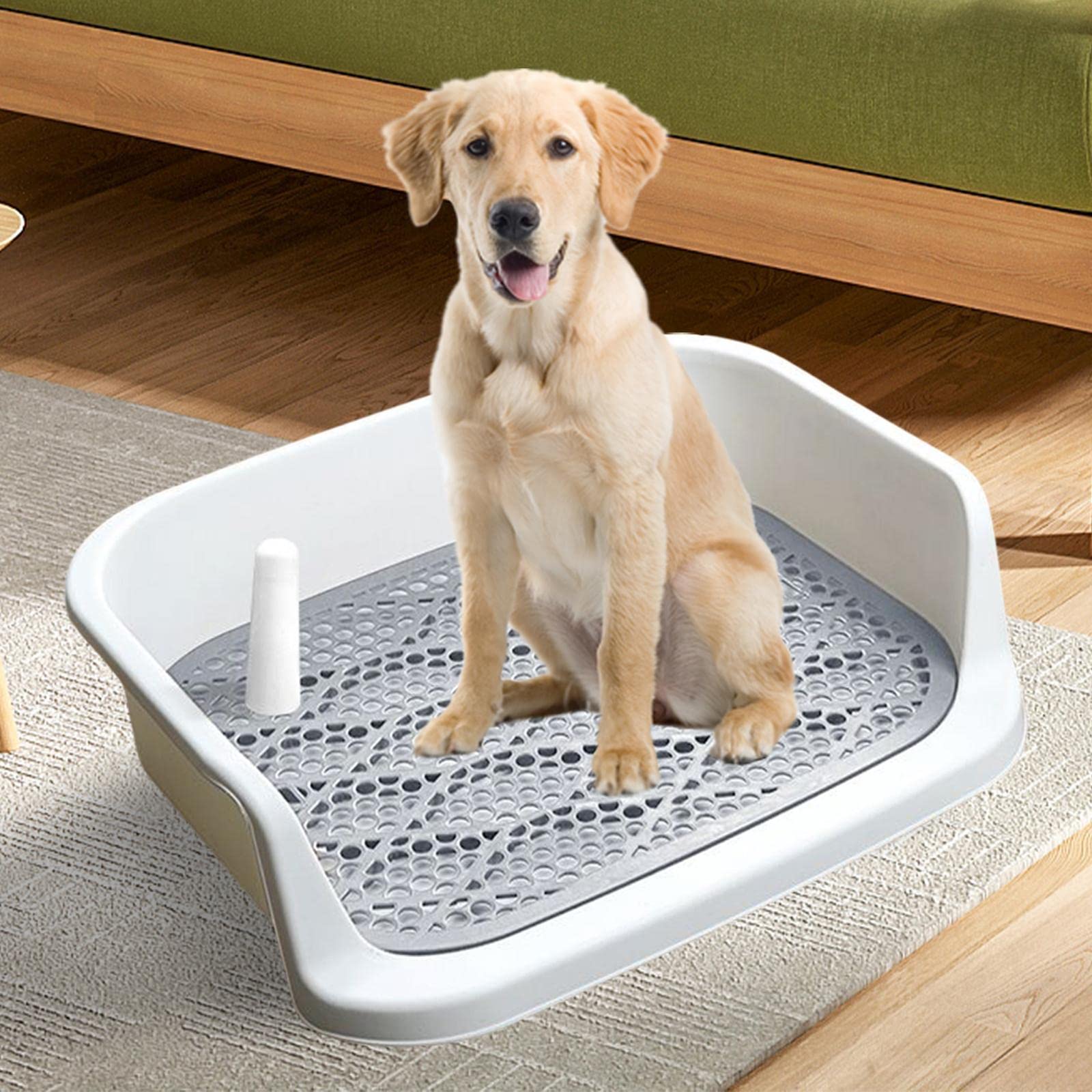 Bac à Litière pour Chiots, Outil de Nettoyage, Propreté, Blanc Gris