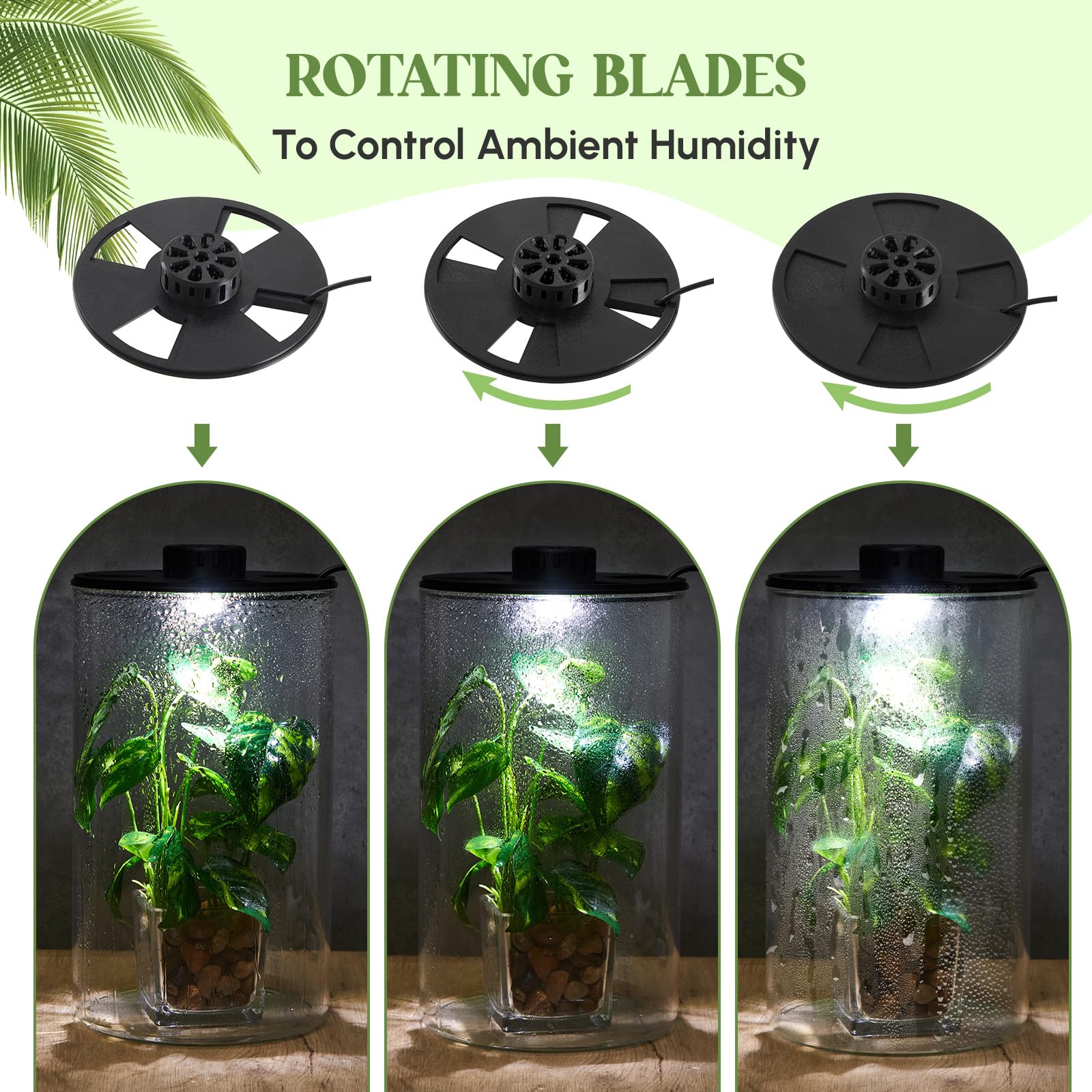 Maxdot Zestaw do terrarium ze szklanymi roślinami ze światłem do sukulentów, mchu, miniaturowego krajobrazu ogrodniczego, akwarium Betta, wzrost roślin w pomieszczeniach, dekoracja domu, prezenty dla
