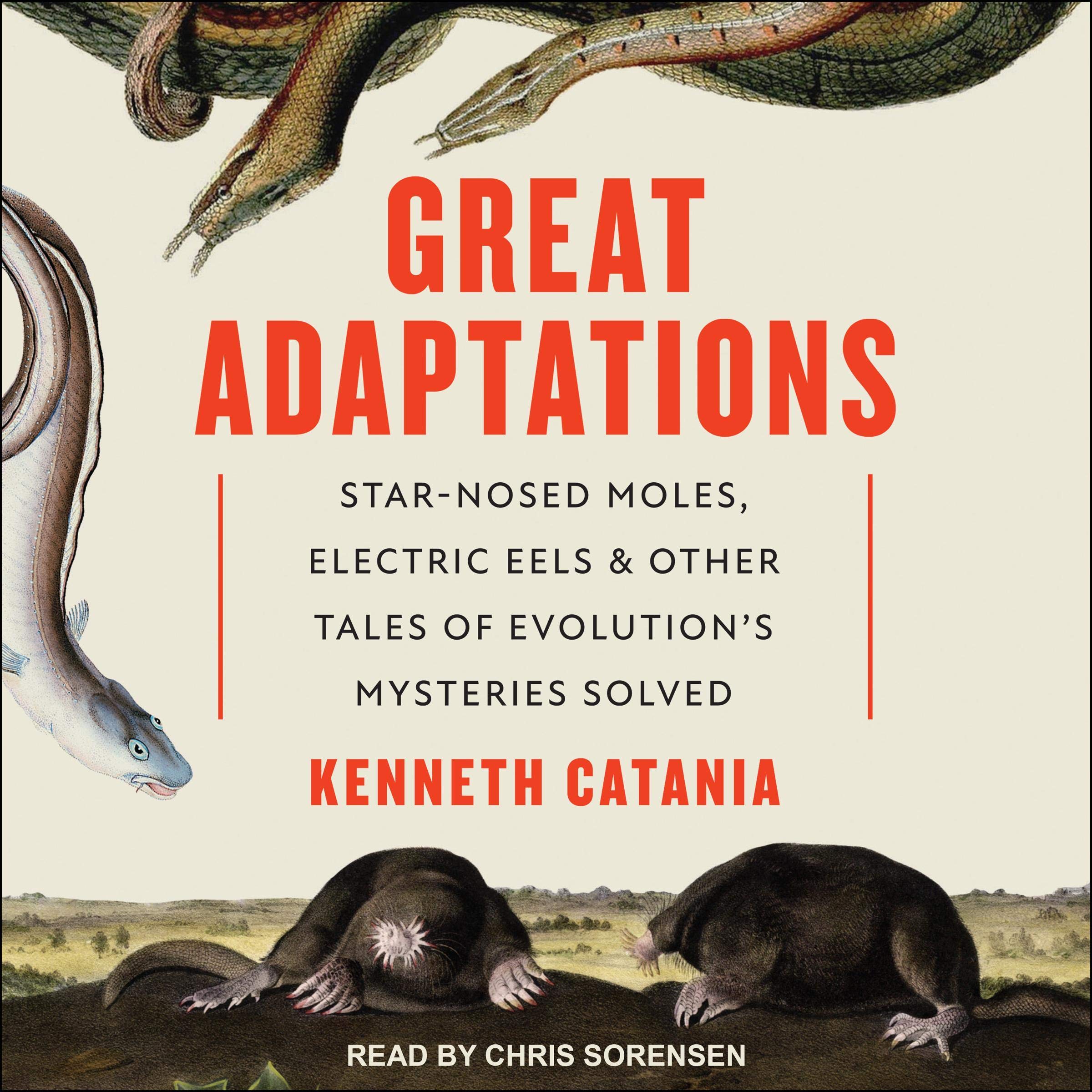 Cover art for Great Adaptations
