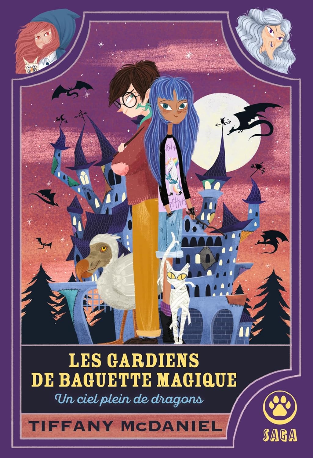 couverture de : Les Gardiens de baguette magique : un ciel plein de dragons couverture de : Les Gardiens de baguette magique : un ciel plein de dragons