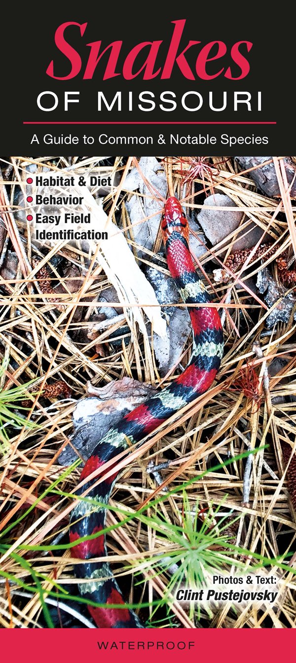 Snakes of Missouri: A guide to Common and Notable Species (Guide to Common & Notable Species)