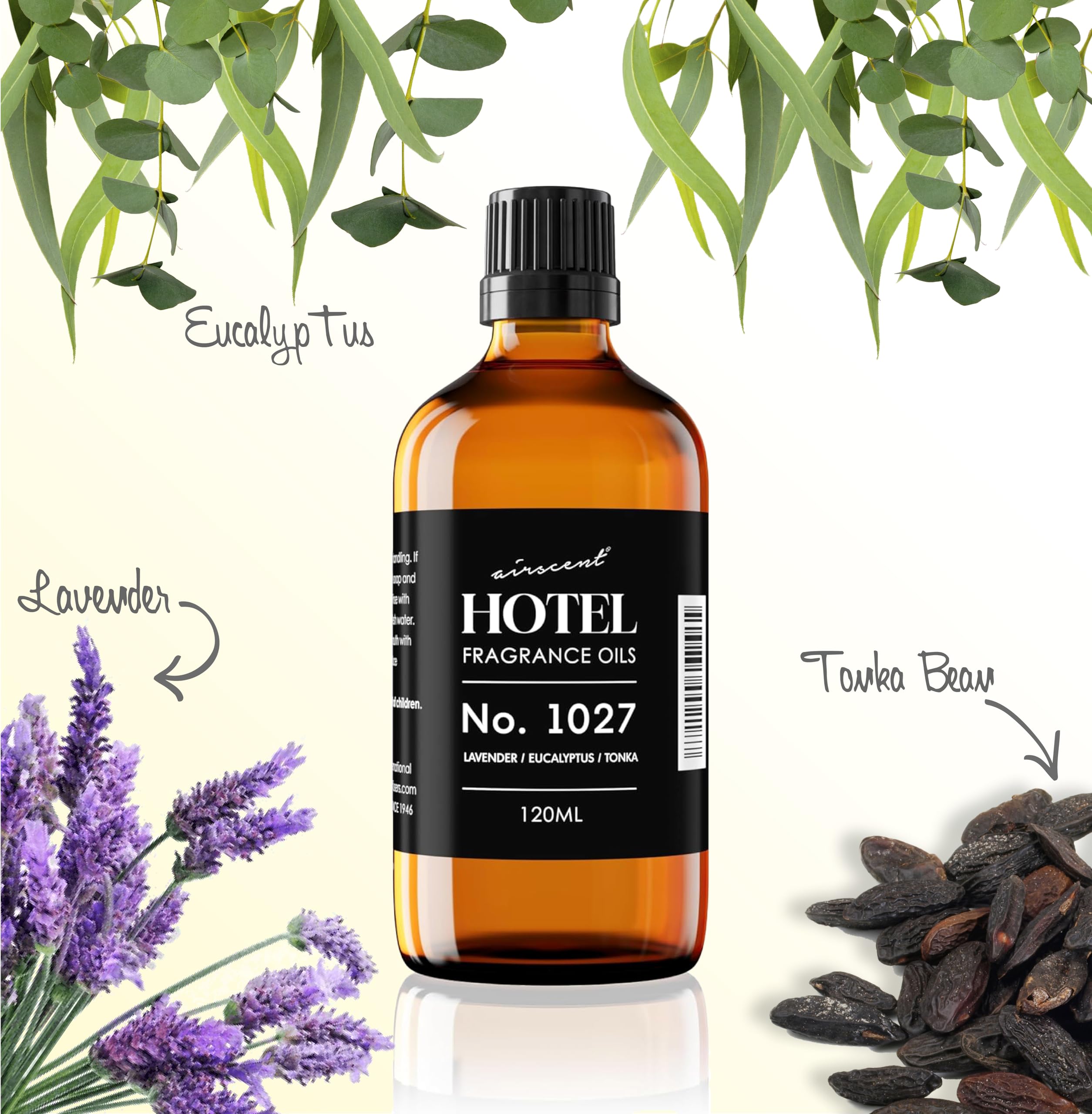 Amazon.com : AirScent Hotel Diffuser Oil No. 1027 Inspired by The
