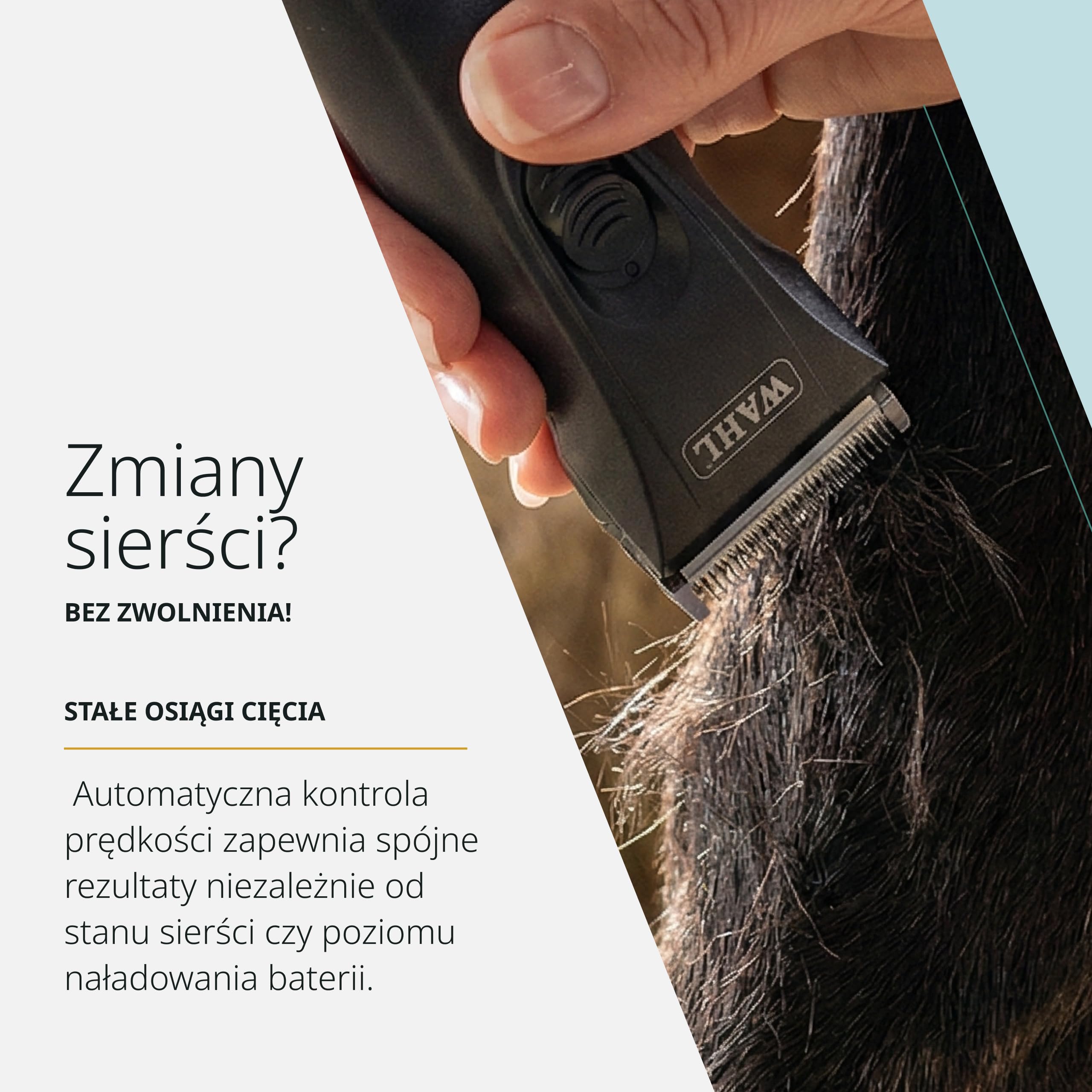 Moser Arco Pro Maszynka do Strzyżenia Psów i Kotów, Cichy Silnik
