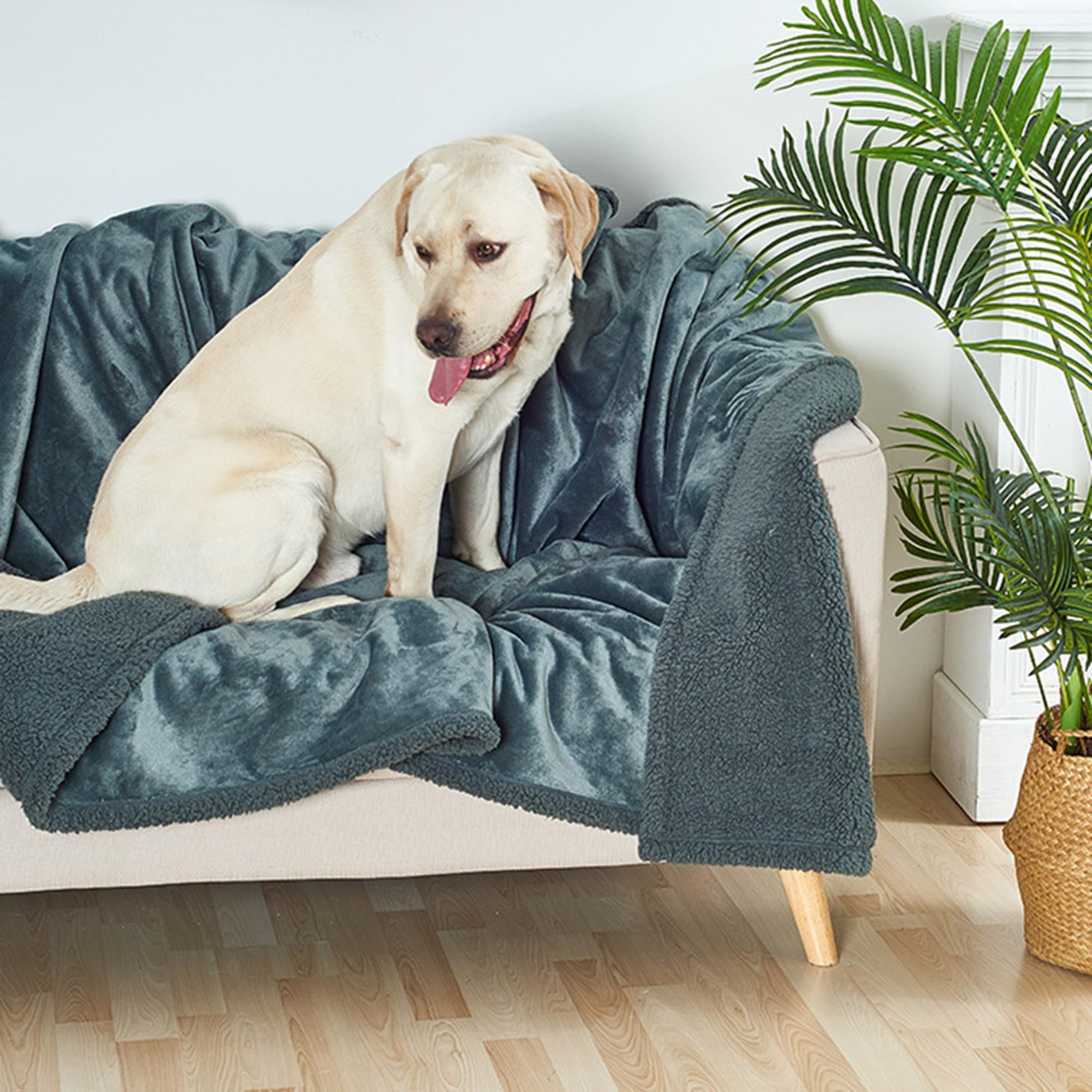 Manta calmante de gran tamaño para perro, manta suave para proteger el sofá de la cama, mantas impermeables para mascotas para perros y gatos, manta gruesa para gatos y perros (165 x 145 cm,