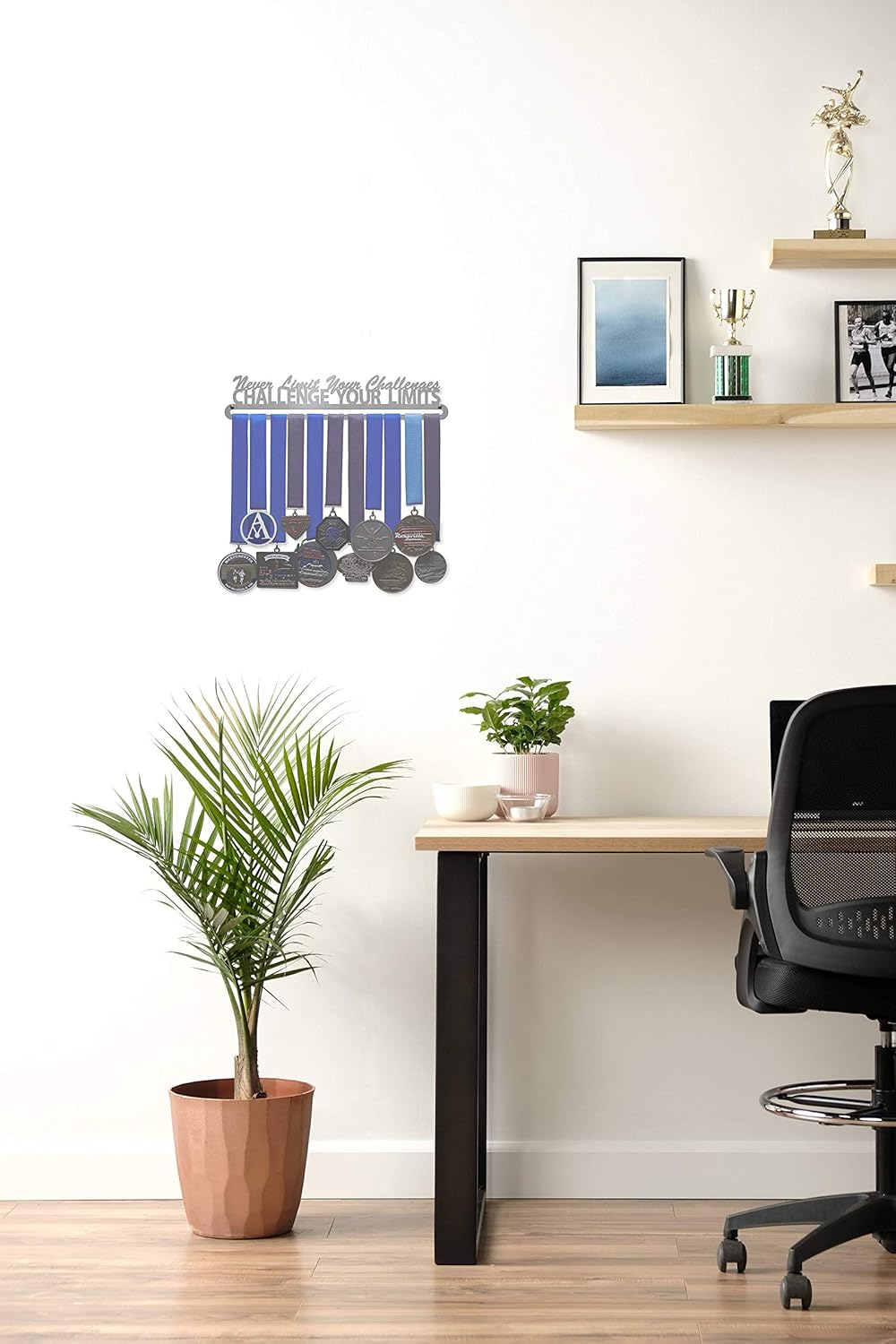 Allied Medal Hangers - Challenge Your Limits - Multiple Size Options Available - Medal Award Holder Display Hanger Rack