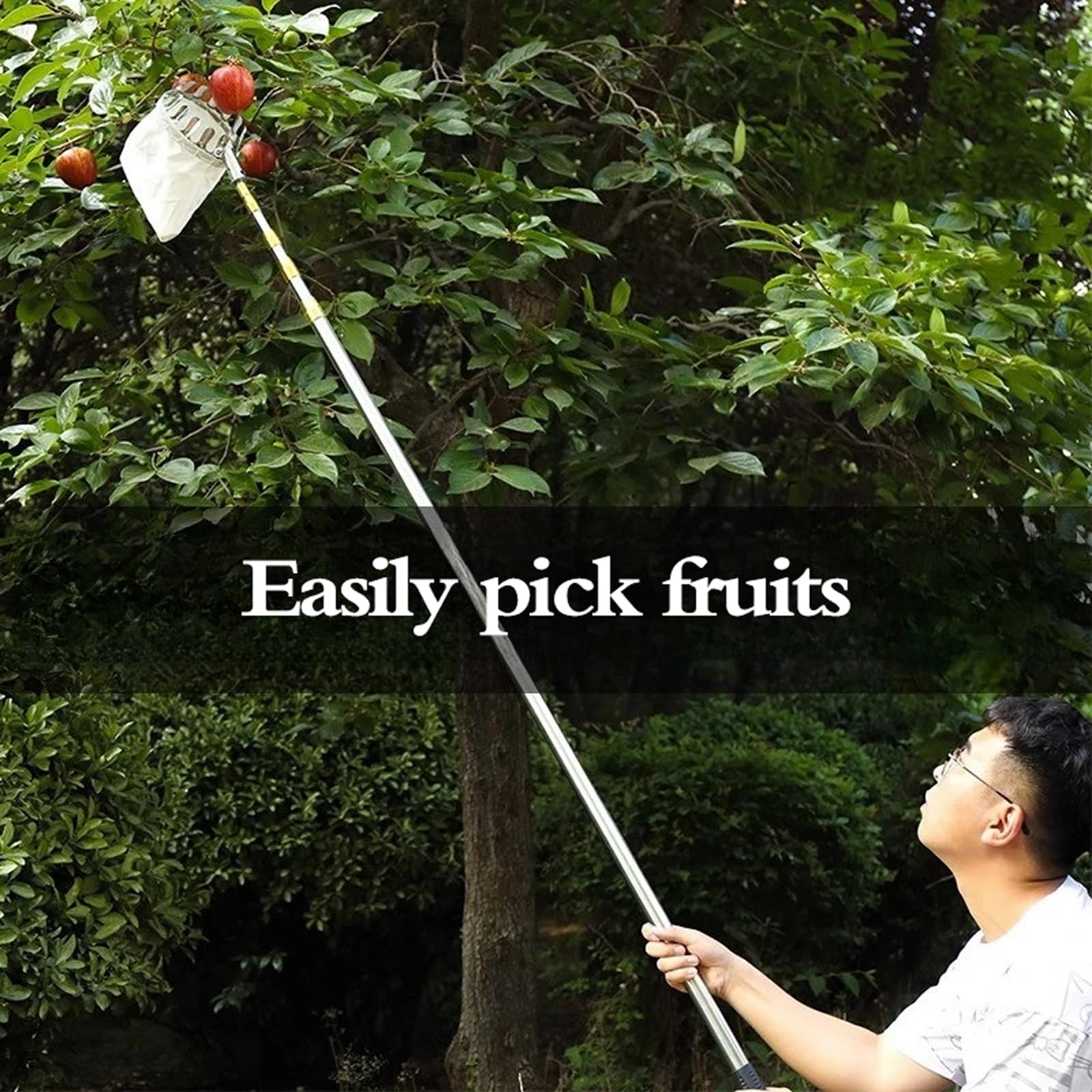 Attrezzo Raccogli Frutta,Raccogli Frutta Telescopico,Raccoglifrutta Telescopico Inox,Raccoglifrutta Estensibile,Facile da Montare,per Limoni Mele Prugne Pere Ciliegie Arance Mango