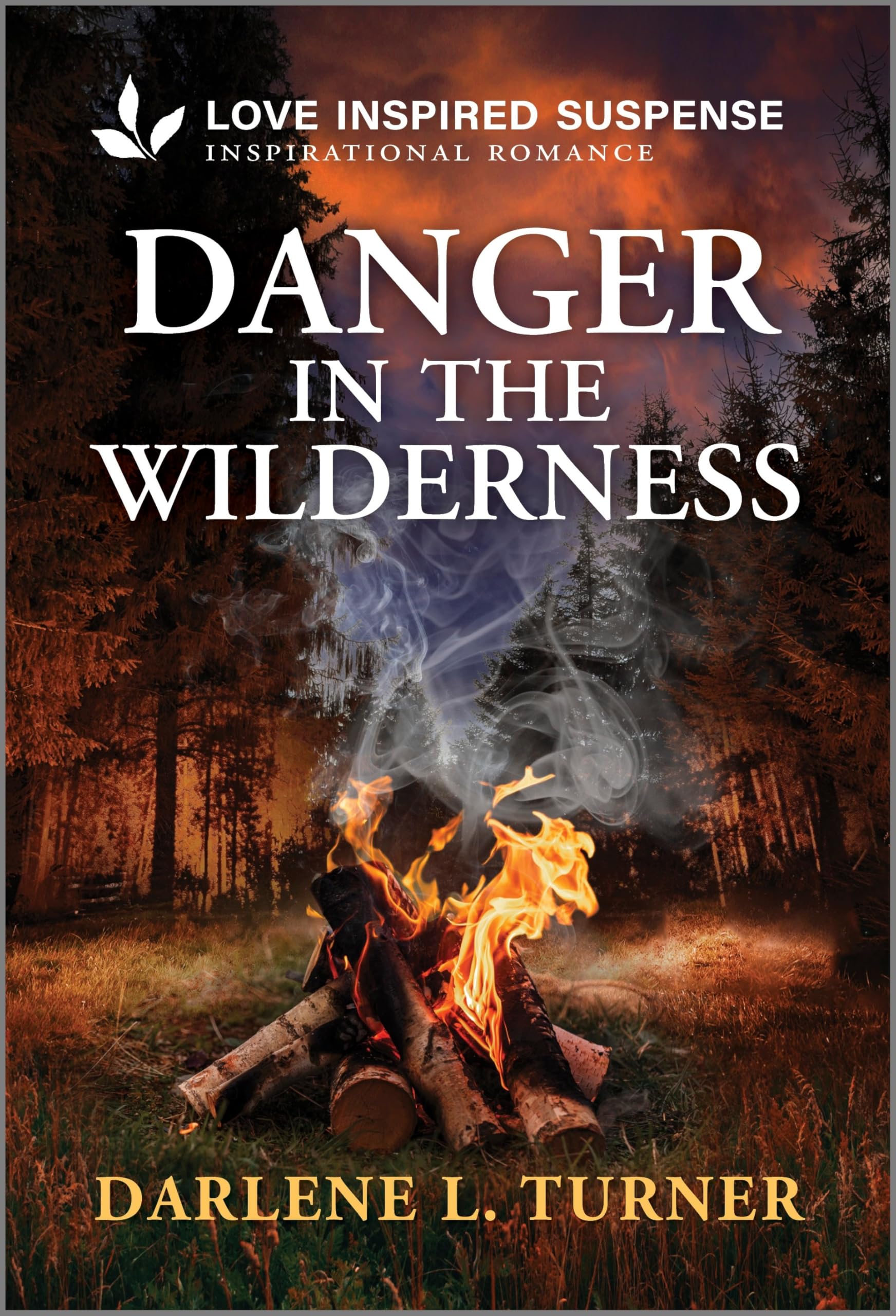 Danger in the Wilderness (National Park Protectors Book 1)