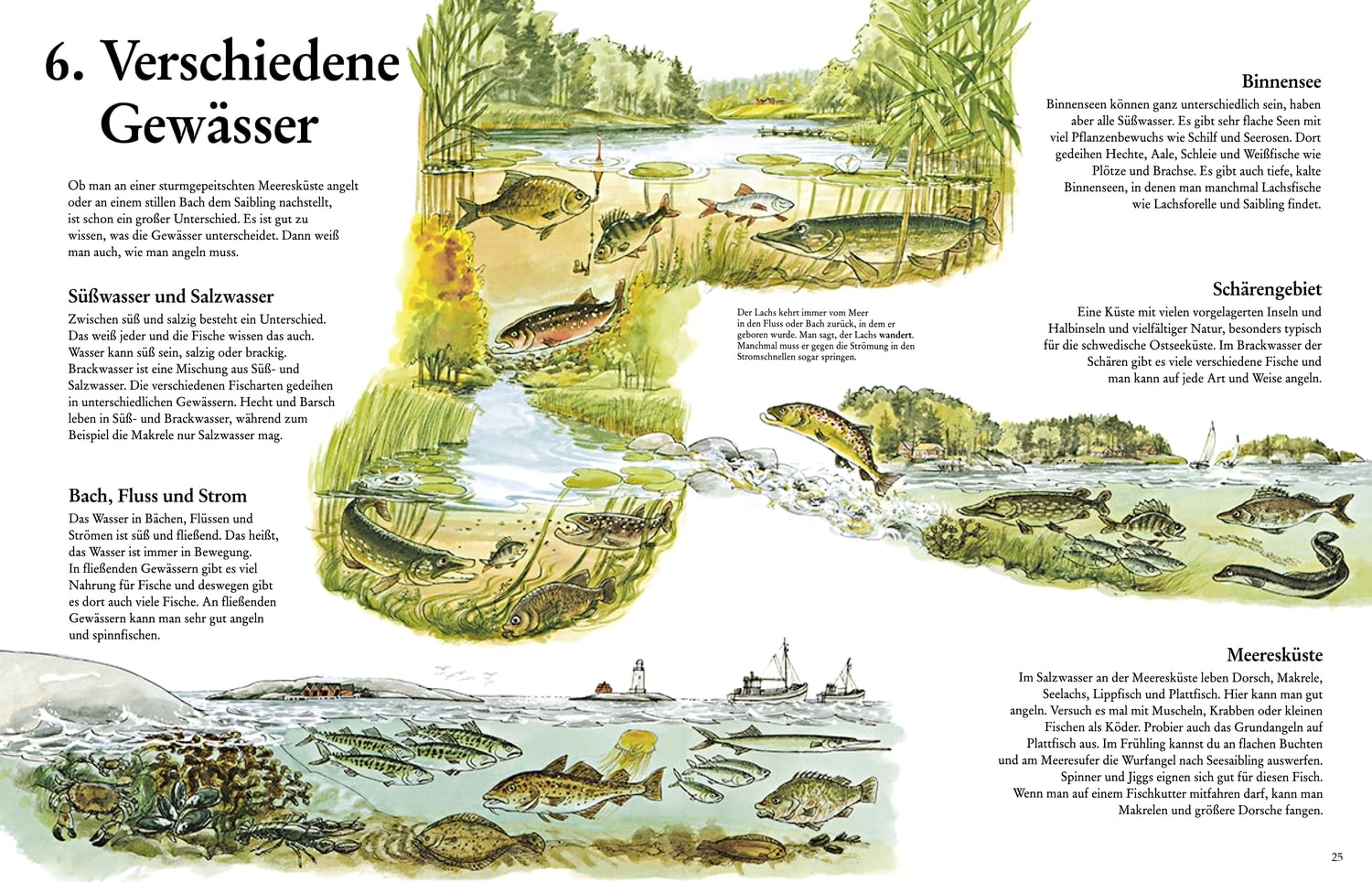 Das große Buch vom Angeln: Praktische Angelschule mit Naturwissen, Mitmachideen und Illustrationen von Pettersson-und-Findus-Erfinder Sven Nordqvist für Kinder ab 6 Jahren