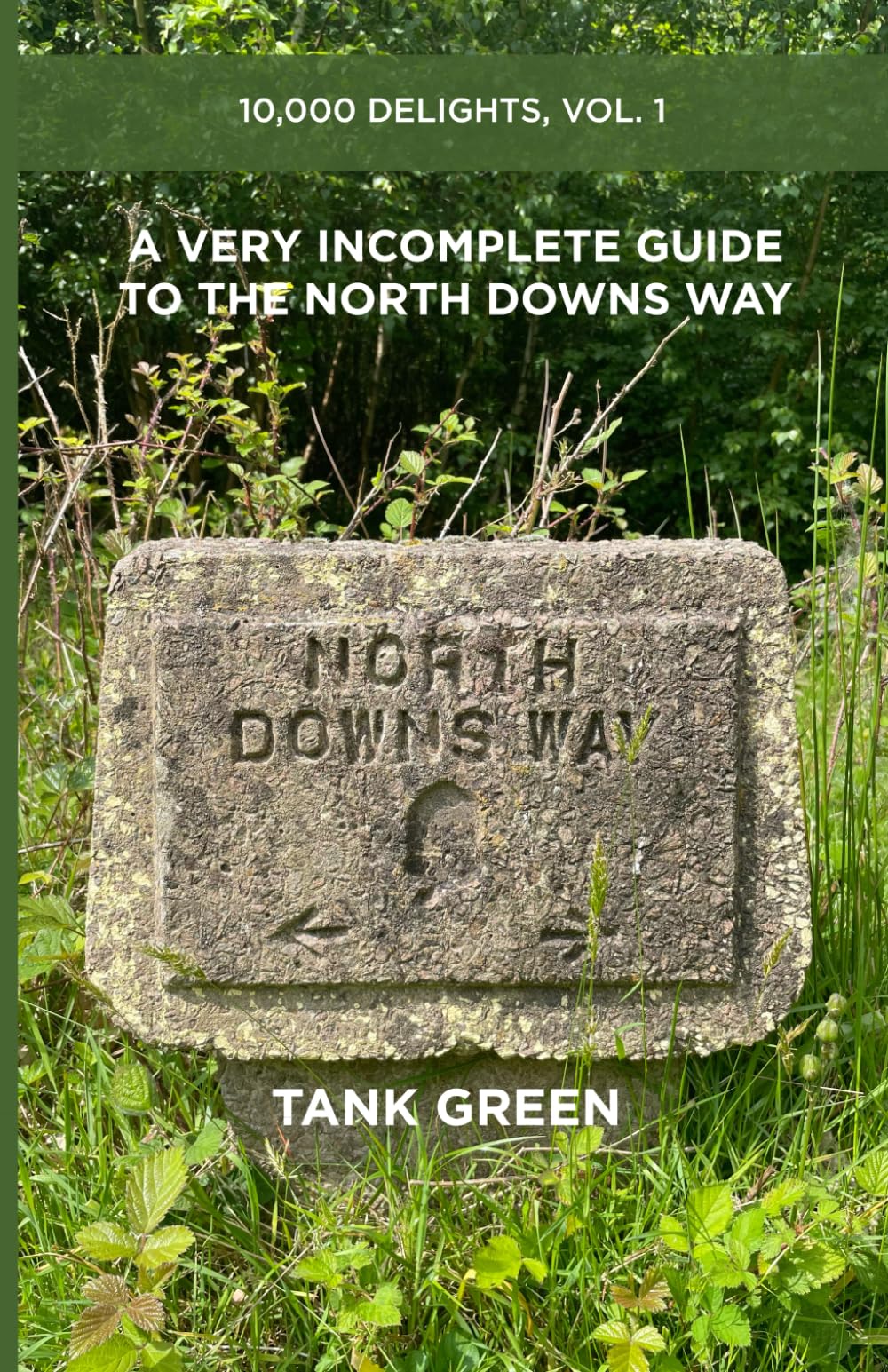 A Very Incomplete Guide to the North Downs Way: 10,000 Delights, Vol. 1