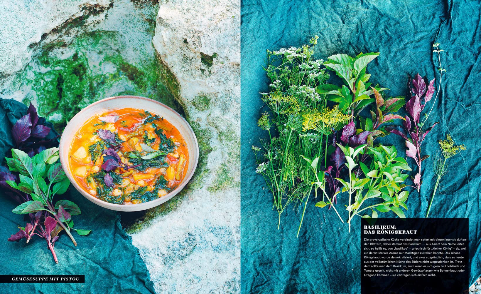 Provence: Reise durch die Sonne in 100 Rezepten