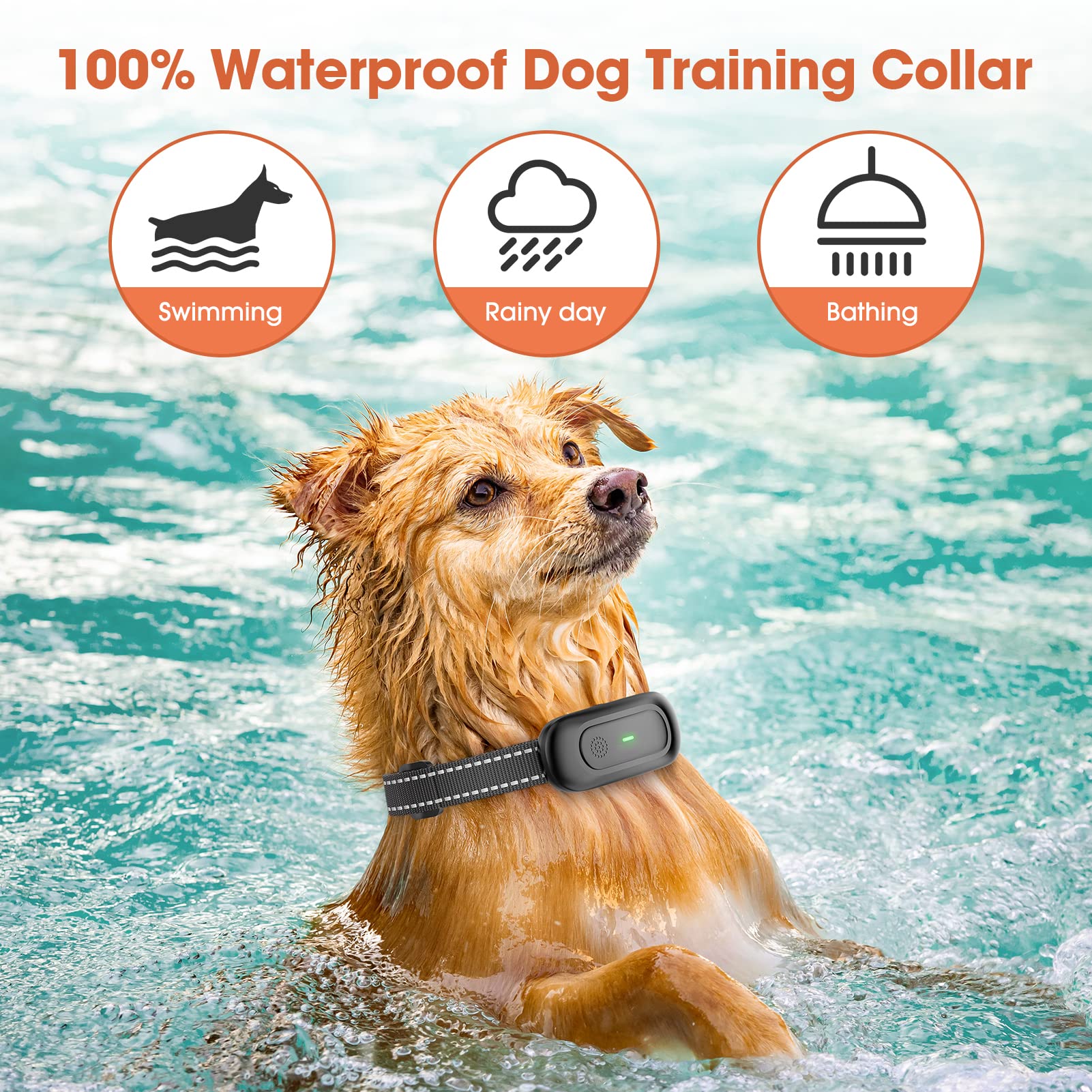 Can A Dog Shock Collar Get Wet