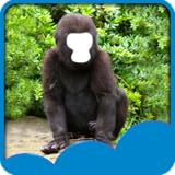 動物の顔写真エディタ