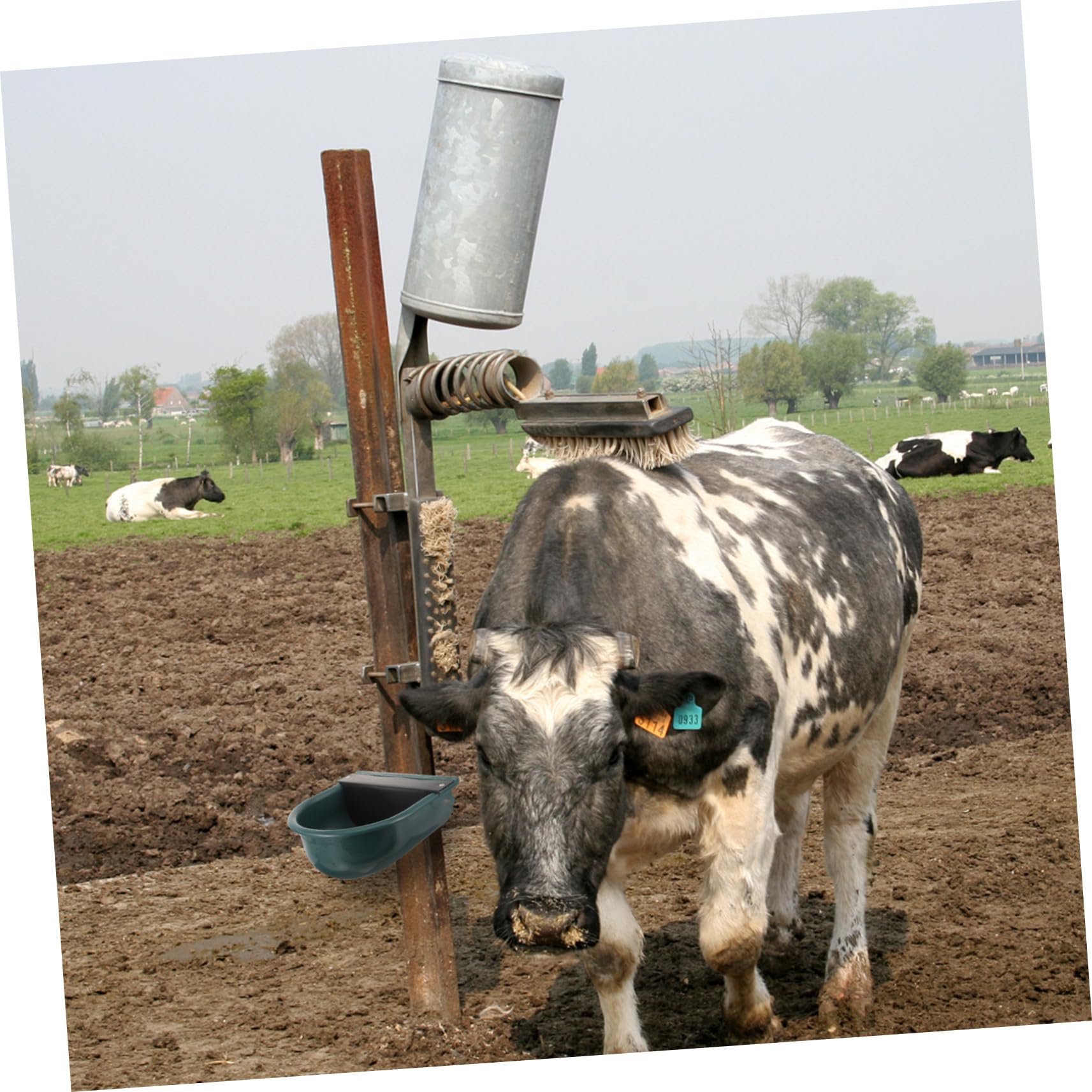 Levemolo Ciotola Abbeveratoio Automatica per Bovini e Ovini con Galleggiante Regolatore Capacità per Bestiame come Mucche Pecore e Maiali Facile da Usare e