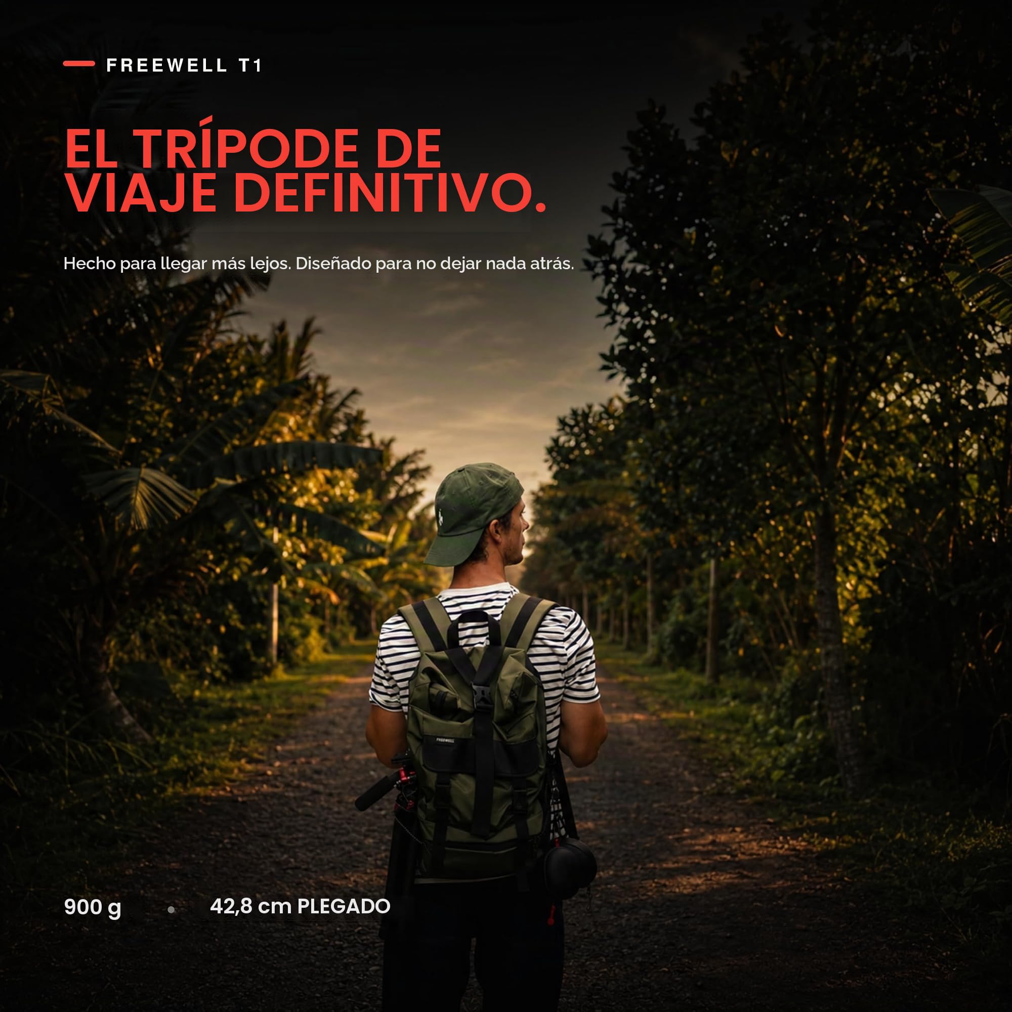 Freewell Trípode de Viaje de Fibra de Carbono de 59,1 Pulgadas | Ligero, con cabeza esférica de 360°, carga máxima de 5 kg, placa de liberación rápida, para cámaras DSLR y smartphones.