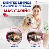 Ver la foto 5