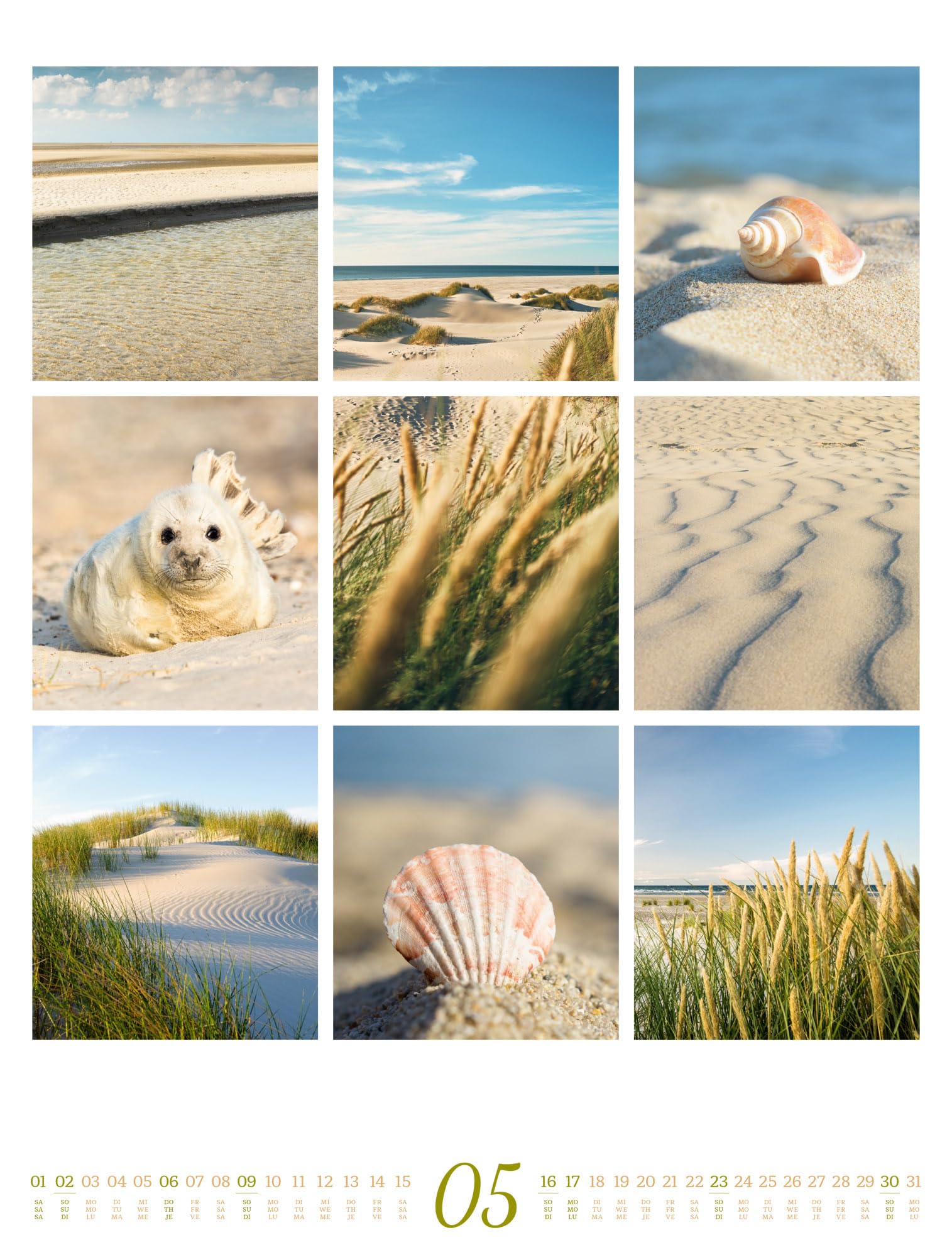 Inspiration Natur Kalender 2027: Vielfältiger Natur-Kalender im großen Hochformat (50x66 cm) | Mehrteilige Bildmosaike im Triplet-Stil