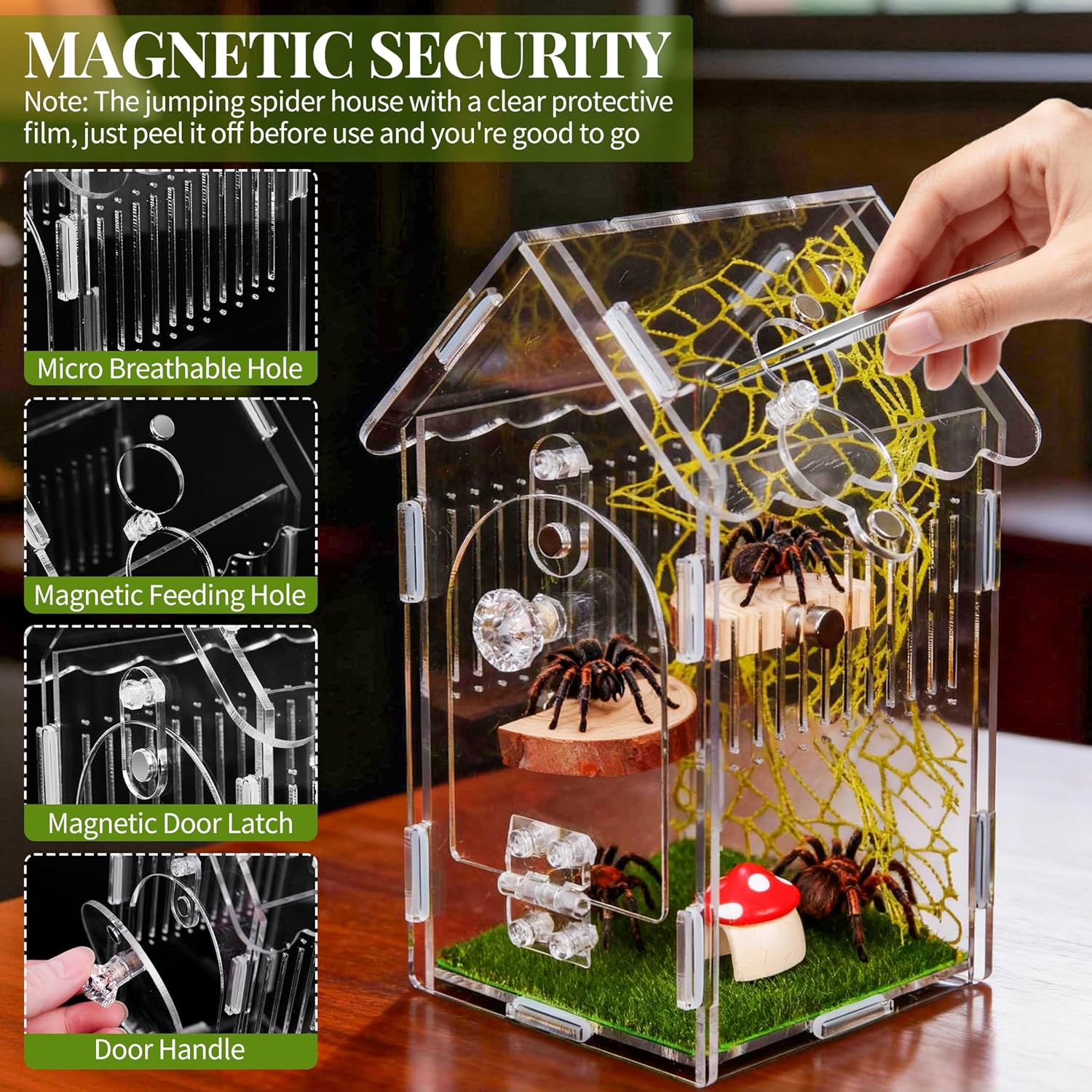 Hysagtek Jumping Spider Enclosure - Acrylic Arboreal Tarantula Enclosure Small Reptile Terrarium with Magnetic Door, Clear Jumping Spider Enclosure Accessories