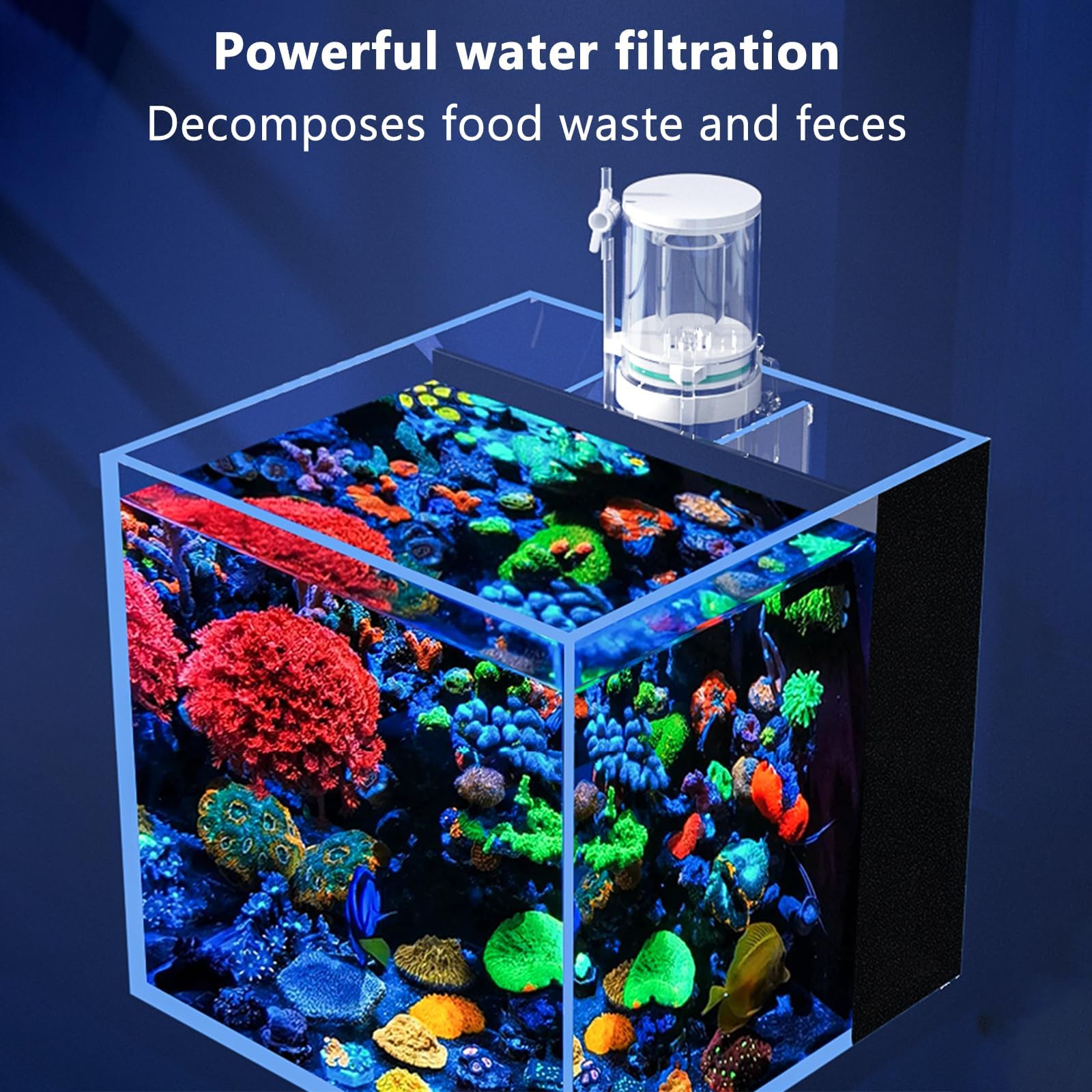 Skimmer de superficie de acuario, espumador interno de proteínas con tubo de aguas residuales, mejora la calidad del agua para peceras, adecuado para varios tamaños de tanques