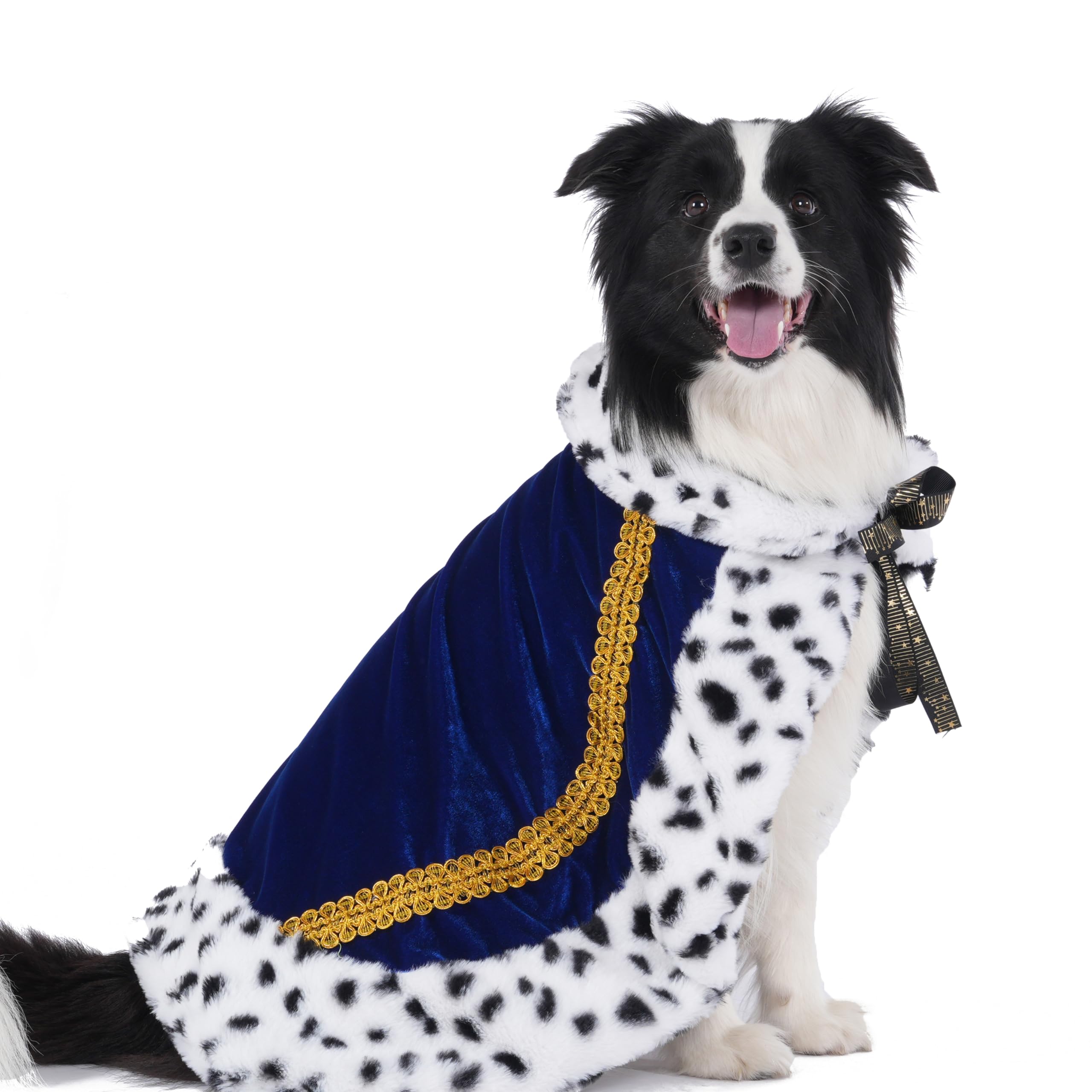 楽天市場】コスプレ 仮装 ビッグバッドウルフ M 【 コスプレ 衣装