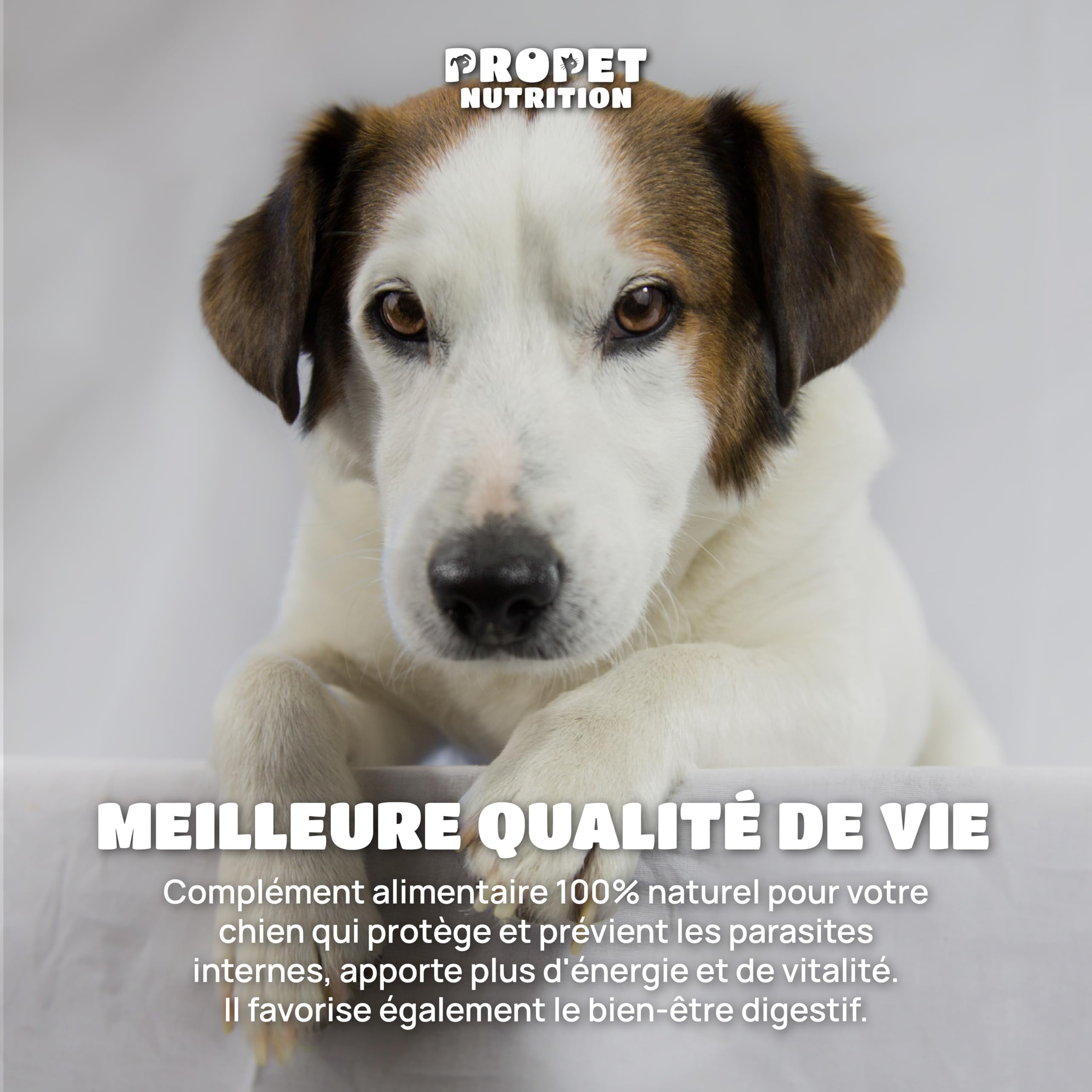 Vermifuge Chien à Base d'Extraits de Plante. 120 Comprimés. Contre Les vers. 100% Naturel. Probiotique Chien + Vitamines B. Protection Intestinale. Toutes Races, Chiot et Chaton. Antiparasite Interne