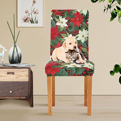 Miniatura 5 de B0400046 - Juego de 4 fundas para sillas de comedor con flores de Pascua de Navidad, extraíbles y lavables, para comedor, hotel, ceremonia,