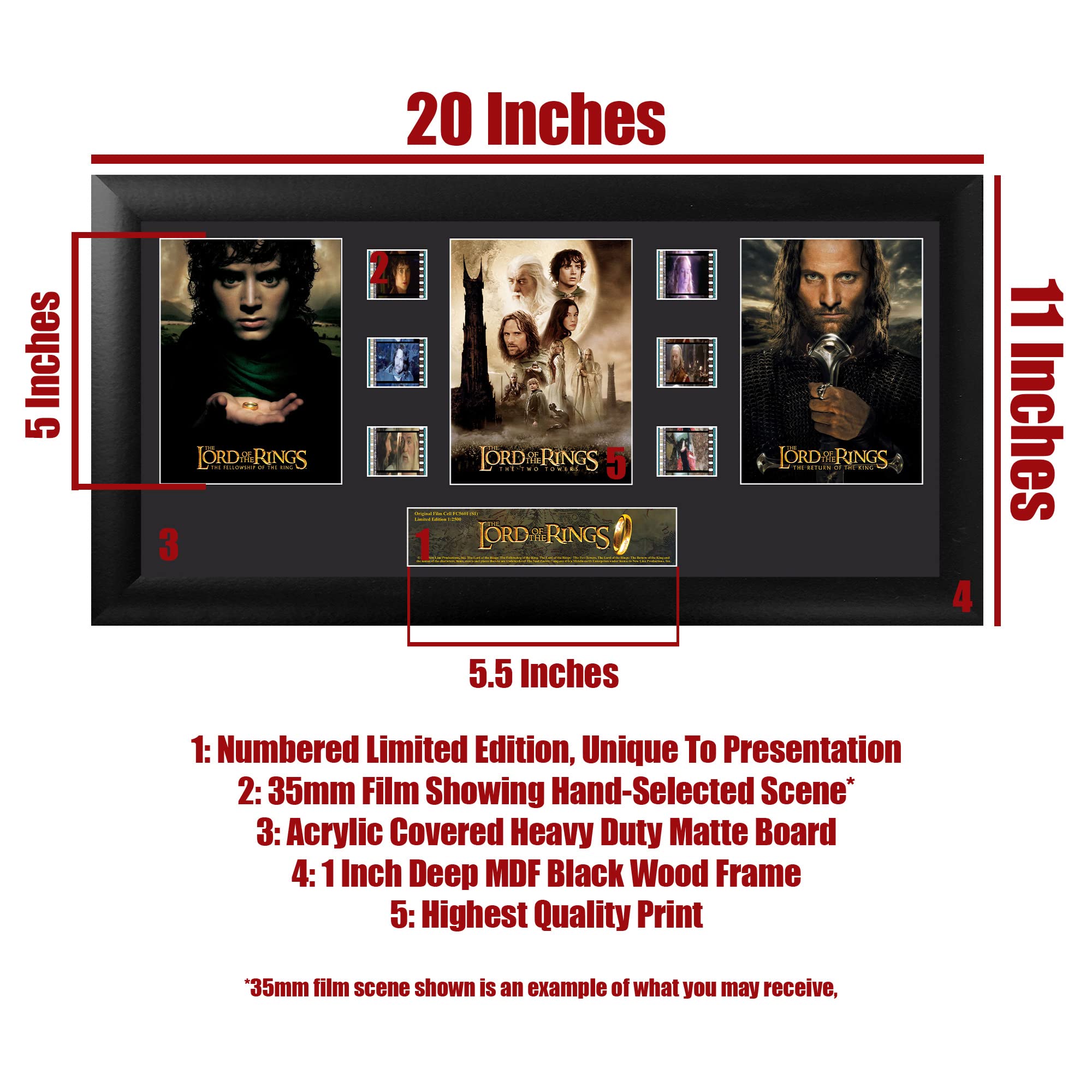 Amazon.com: Lord of The Rings Trilogy FilmCells Framed Wall Art