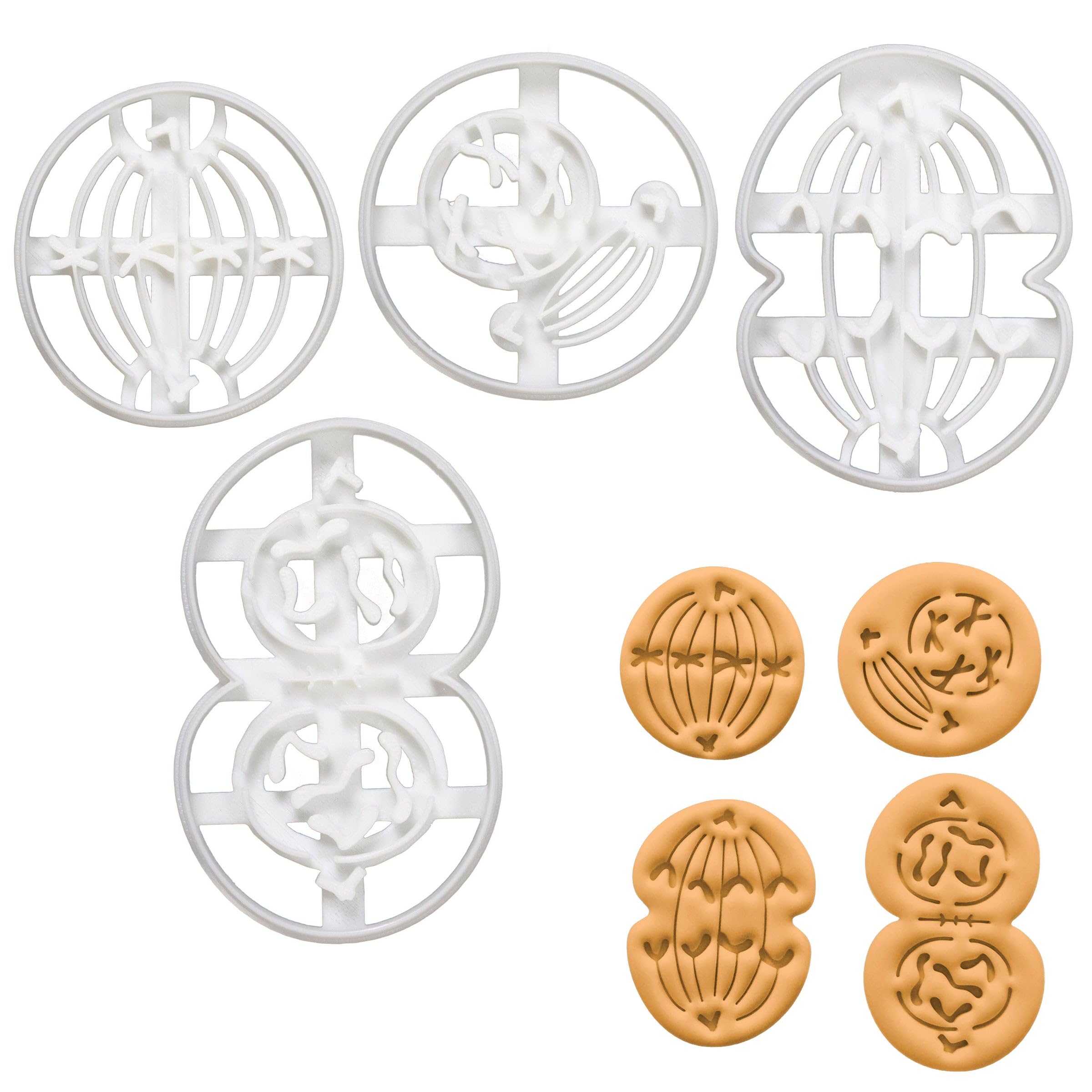 4er Set Mitose Ausstechformen (Formen: Metaphase, Anaphase, Prophase, Telophase), 4 Teile, Bakerlogy