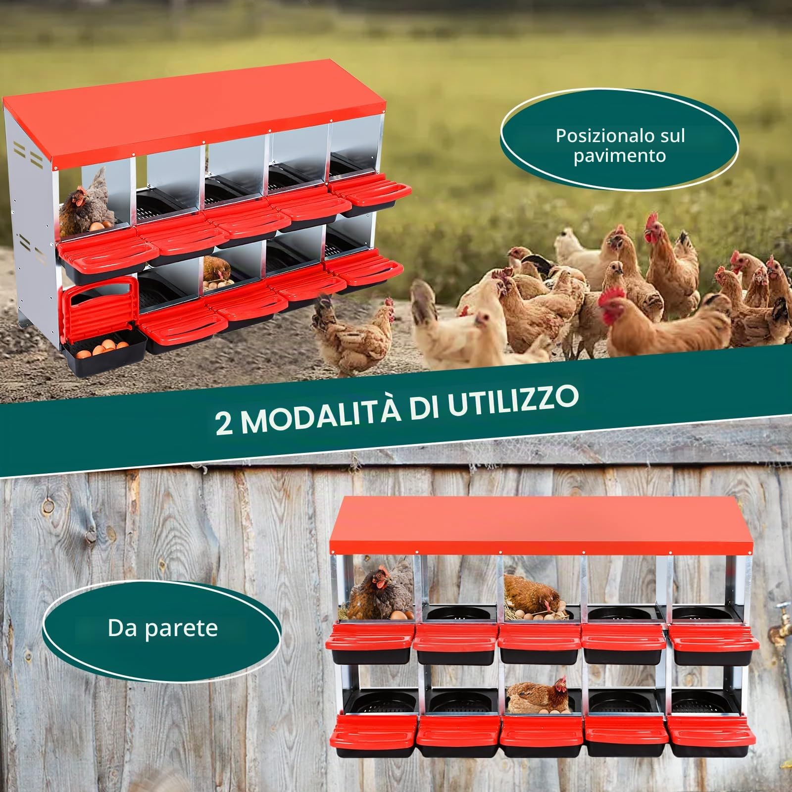 Nido Professionale Per Galline – 8/10 Scomparti in Metallo, Montaggio a Parete, Cassetti Estraibili, Facile Pulizia, Protezione Ottimale Delle Uova – Ideale Per l’Allevamento e