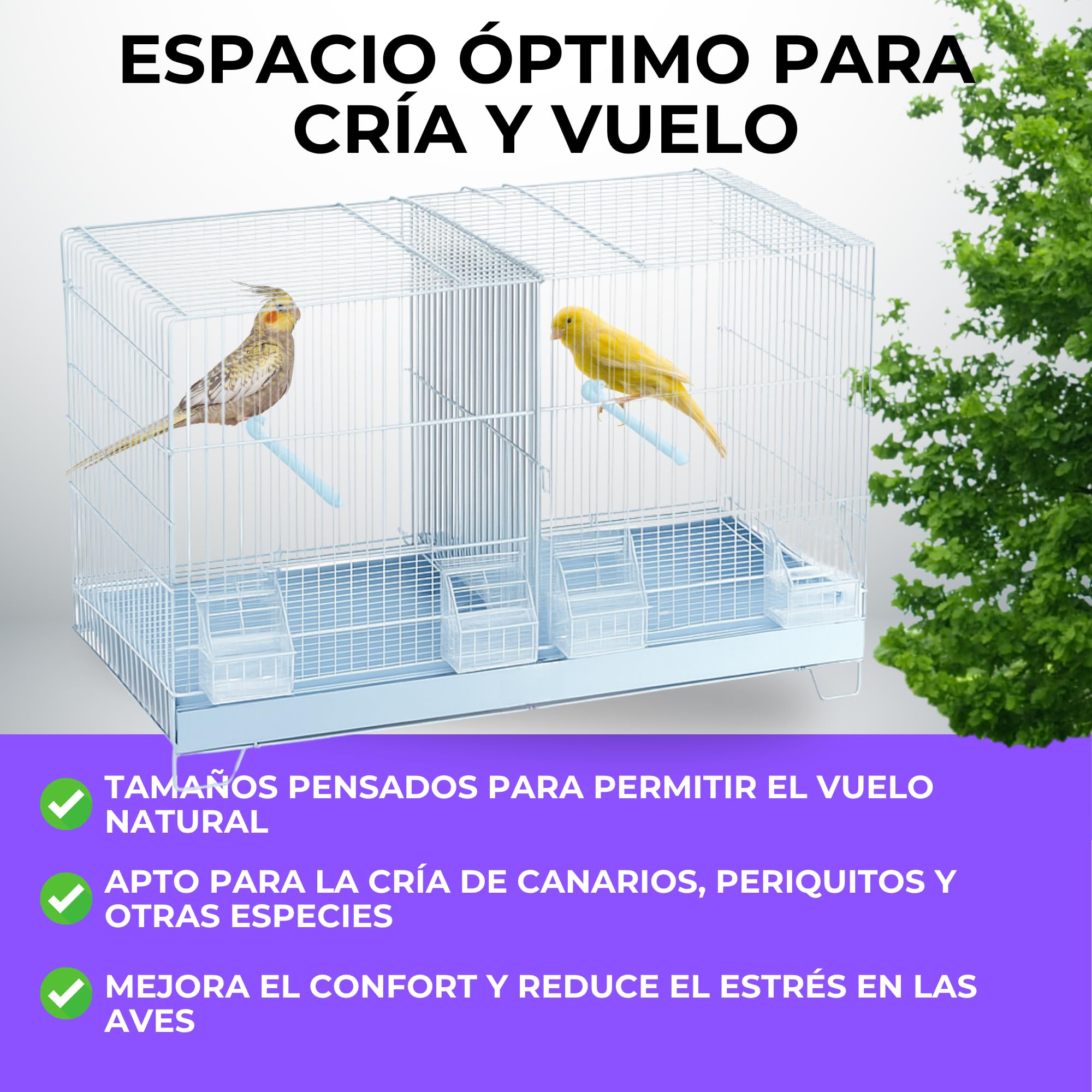 MOLY Jaulón de cría para pájaros 58 x 32 x 37 cm | Jaula Desmontable con Base elevada | Pajarera, Nido Ideal para reproducción y cría de Aves pequeñas