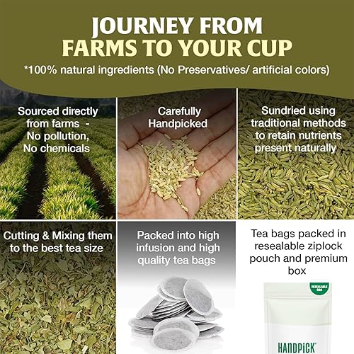 Miniatura 5 de HANDPICK Bolsas de té de semillas de hinojo (100 unidades), auténtico origen indio con aroma natural y dulzura  100% puro, sin OMG y sin cafeína