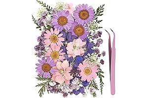 Eshow Dried Flowers for Resin, Nail Art Decor