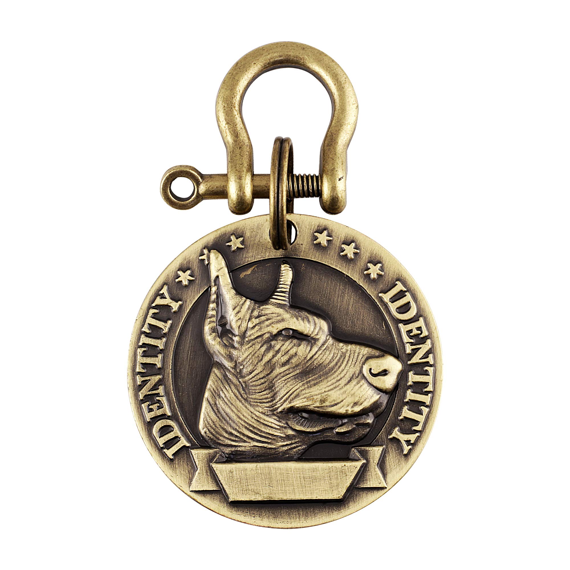 Emily Pets Brass Round Shape Dog Print Collar Tag Cum Collar Charm for Dog & Puppy (B07L2ZZZYX) Amazon Price History, Amazon Price Tracker