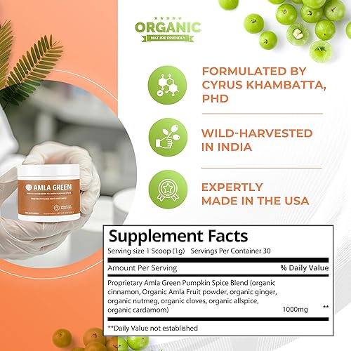 Miniatura 5 de Suplemento de superalimento en polvo Amla con especias de calabaza, 20 veces amla ultra concentrado, hecho con canela, jengibre, nuez moscada,