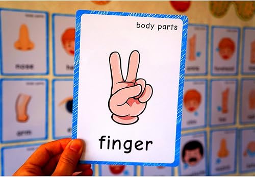 Miniatura 6 de SANTSUN 36 piezas de tarjetas flash My Body Parts para niños pequeños, con agujeros perforados, para que puedas ordenar y organizar las tarjetas