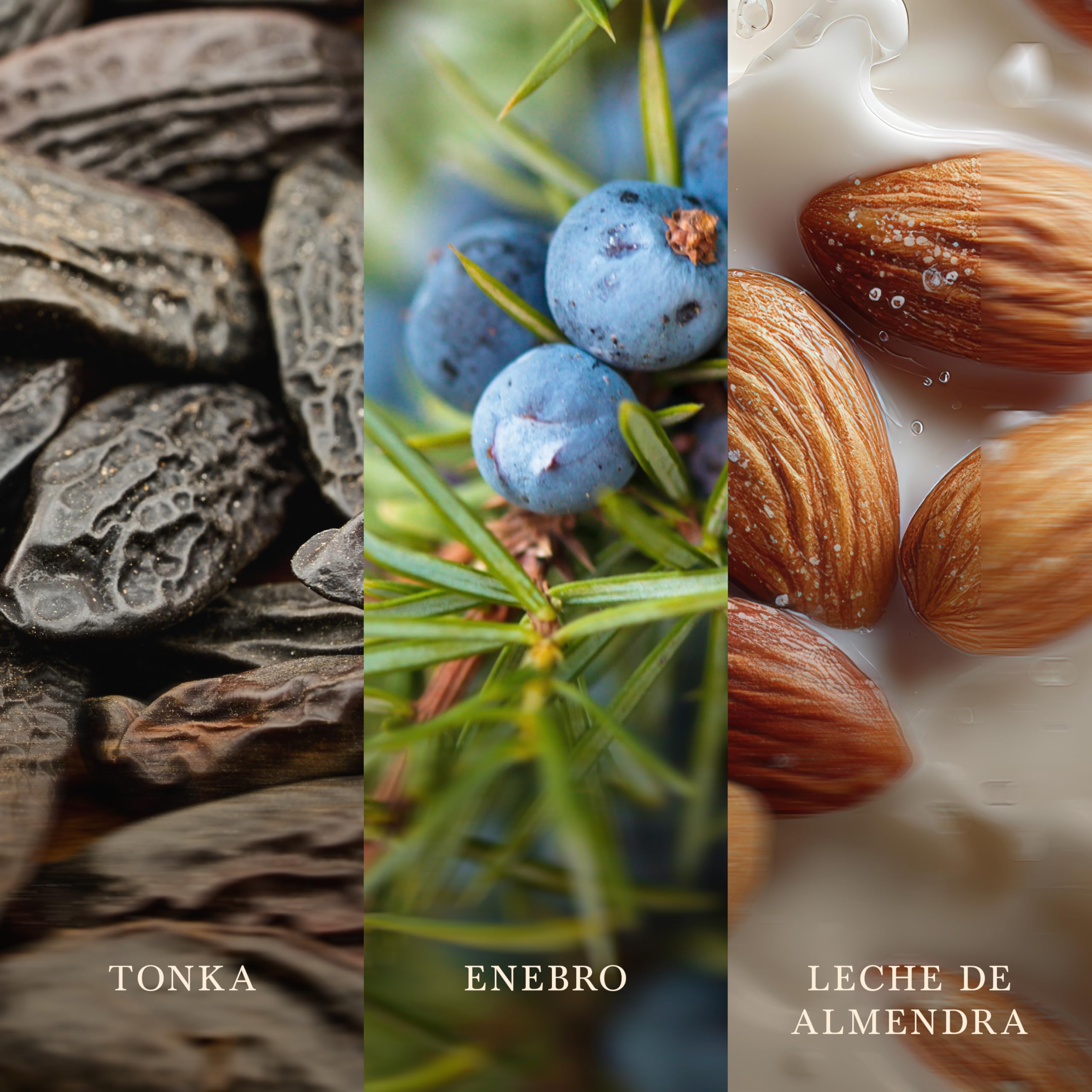 WoodWick | Vela grande | Tonka y leche de almendras | Gran regalo para mujeres