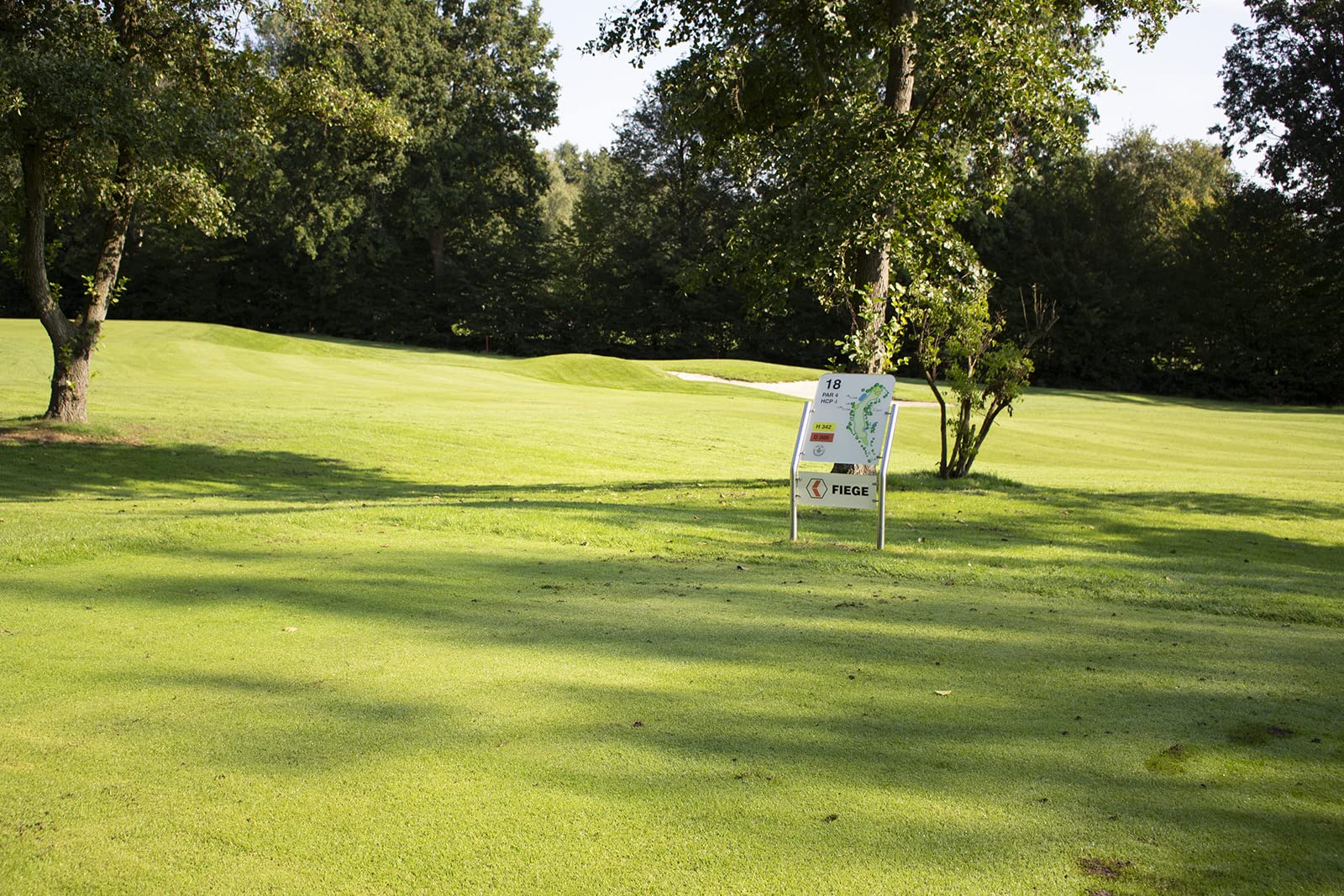 Kiepenkerl Golfrasen Masters Nachsaat 10 kg, Rasensamen, Rasensaat
