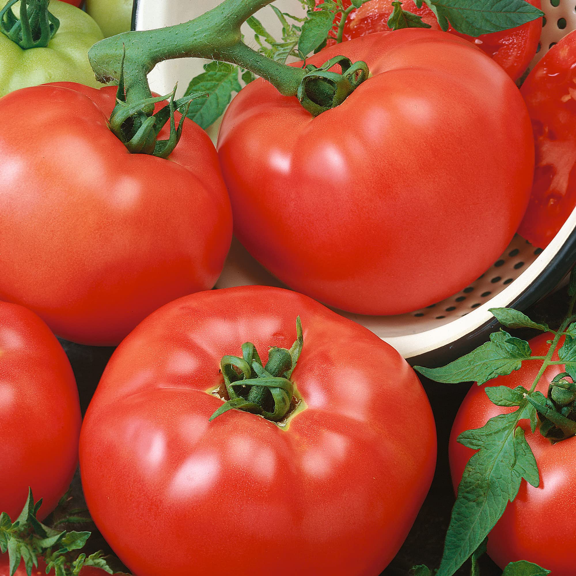 Amazon.com : Red F1 Hybrid AAS Tomato Seeds - 300 Mg Packet ~70