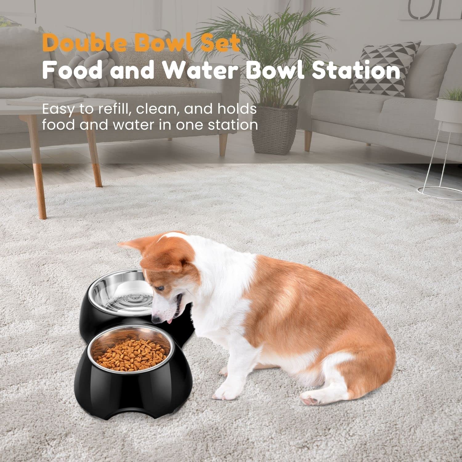 How To Avoid Ants In Dog Food